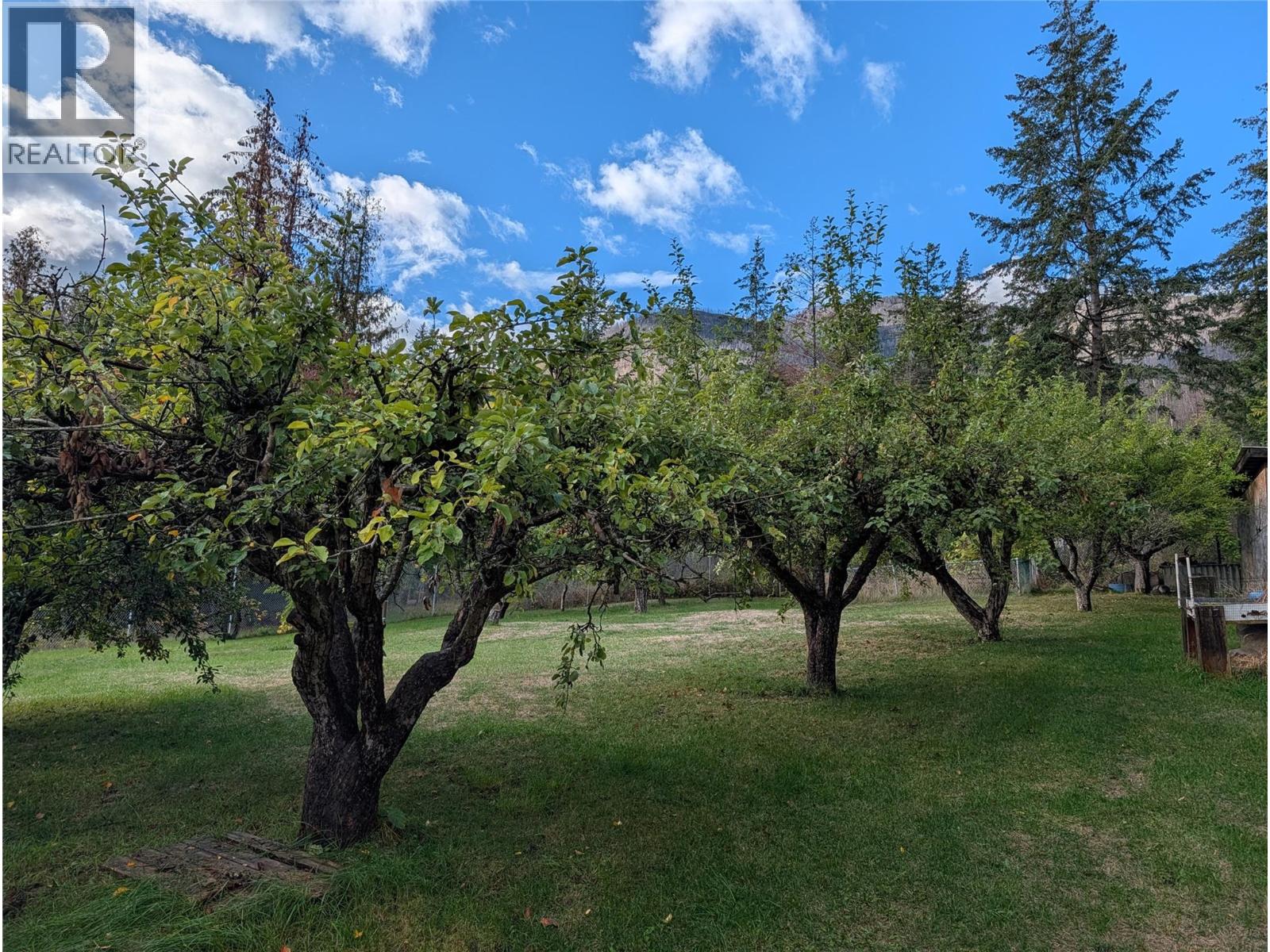 8893 Holding Road, Adams Lake, British Columbia  V0E 1M2 - Photo 3 - 10402067