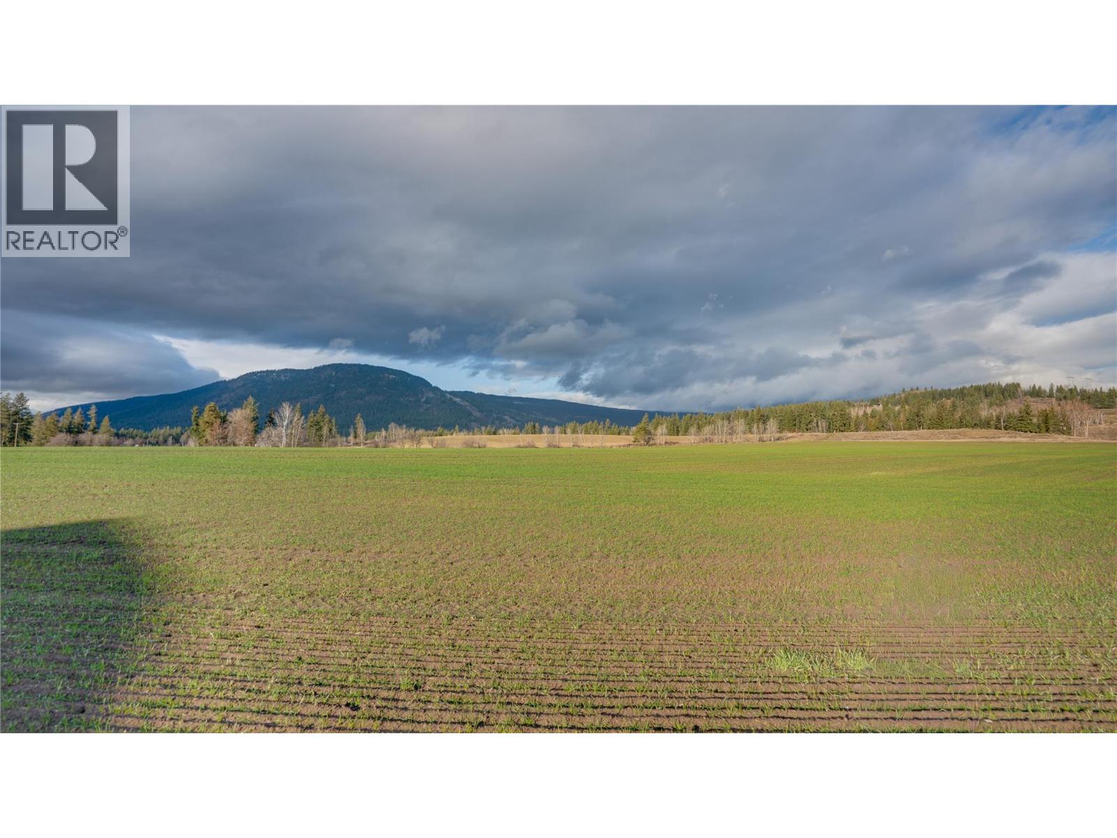 3922 Hullcar Road, Armstrong, British Columbia  V4Y 0M7 - Photo 42 - 10401785