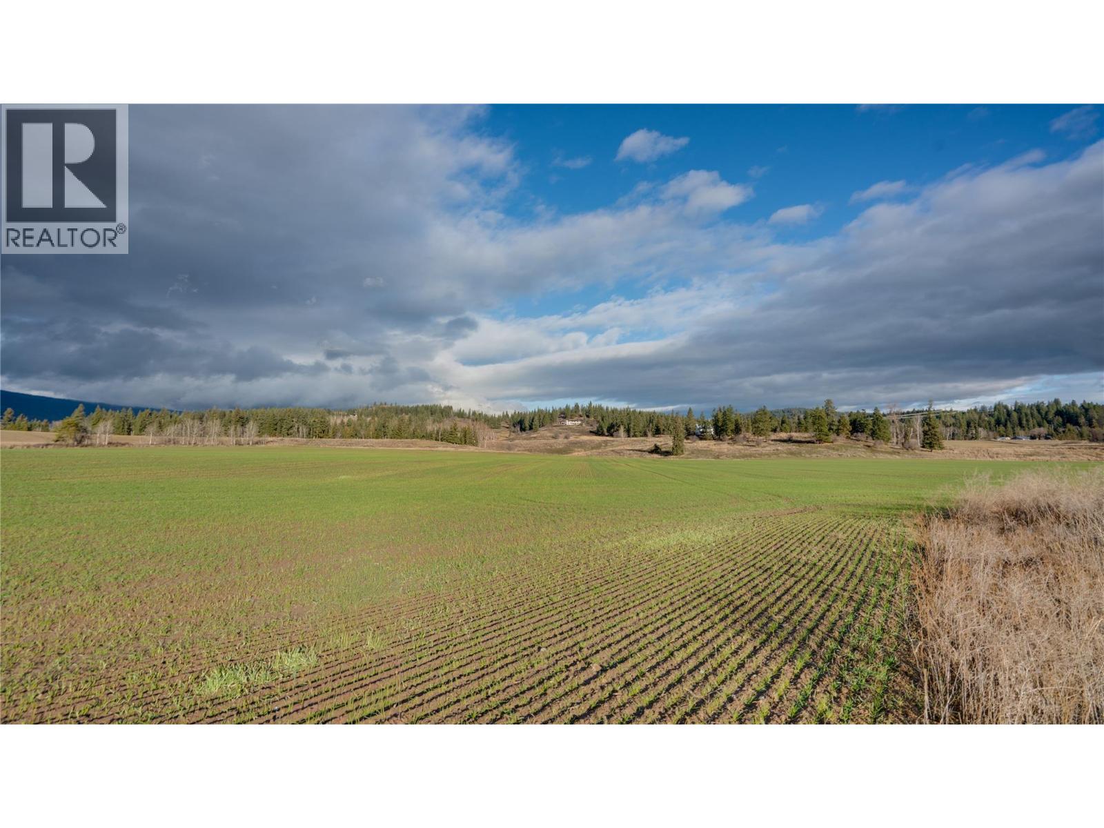 3922 Hullcar Road, Armstrong, British Columbia  V4Y 0M7 - Photo 43 - 10401785