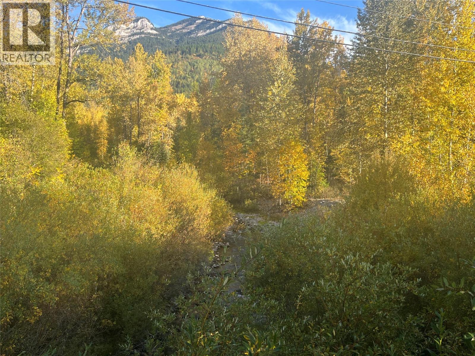 200 Canyon Trail, Fernie, British Columbia  V0B 1M5 - Photo 18 - 10402402