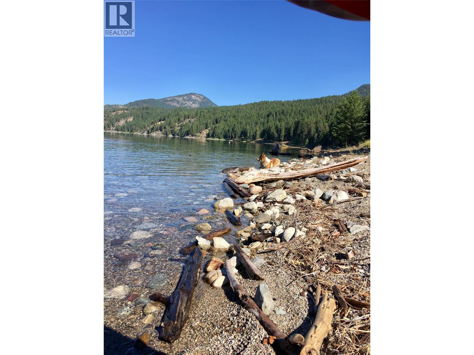 7180 Little Cayuse Creek Road, Castlegar, British Columbia  V1N 4V8 - Photo 8 - 10402292