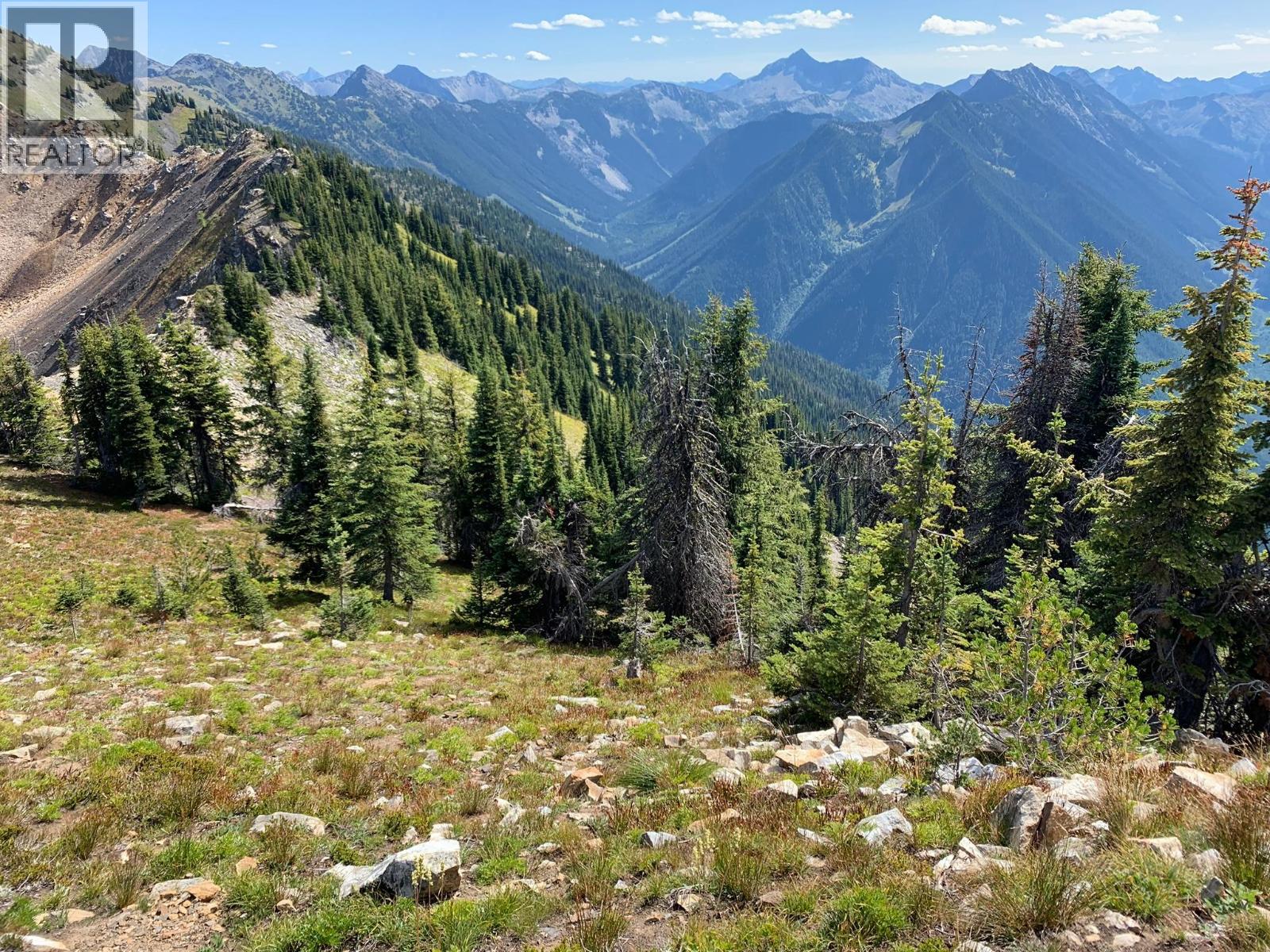 593, 594, 595, 1848, 1850 Mt. Payne Fsr, Sandon, British Columbia  V0V 0V0 - Photo 1 - 10401996