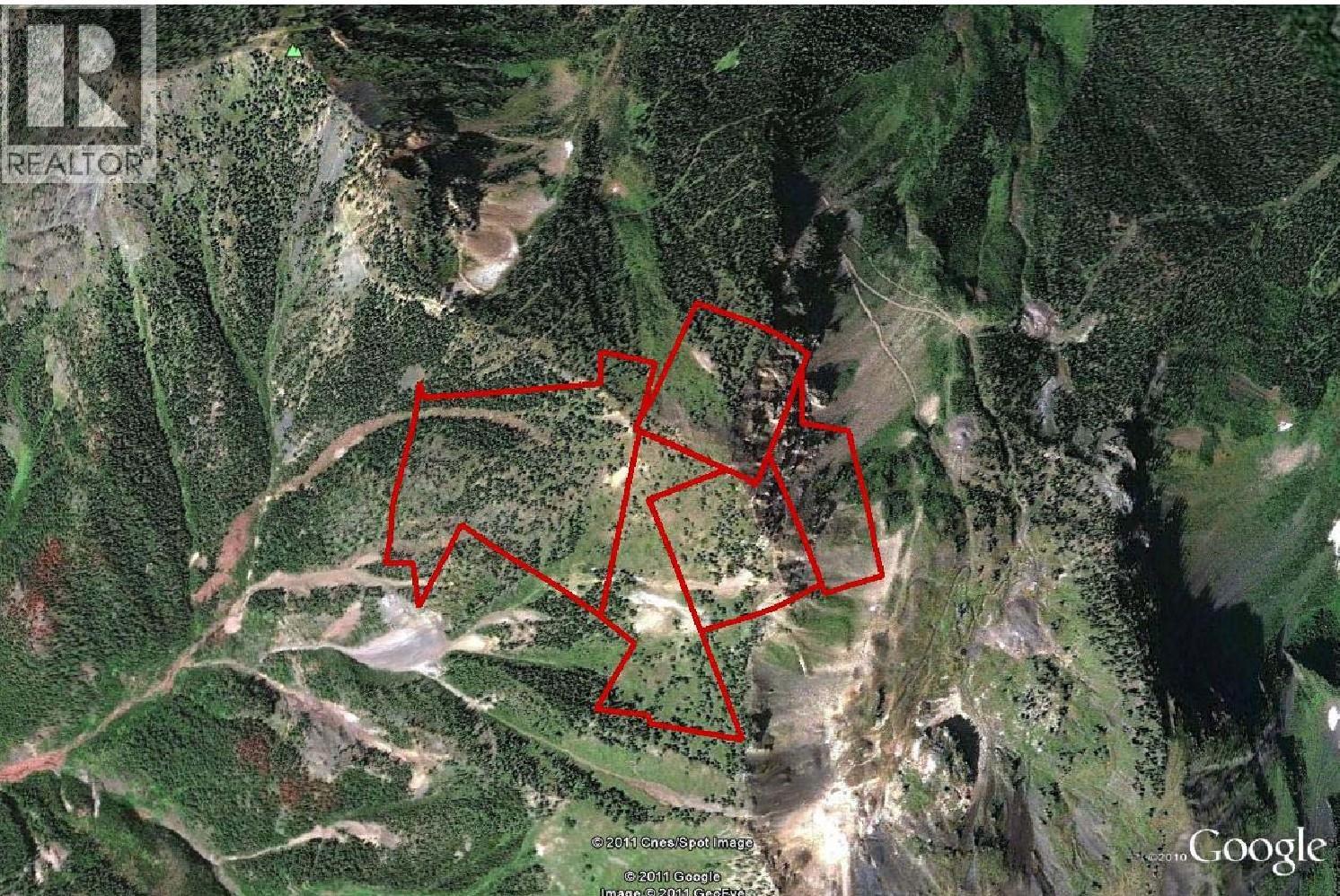 593, 594, 595, 1848, 1850 Mt. Payne Fsr, Sandon, British Columbia  V0V 0V0 - Photo 11 - 10401996