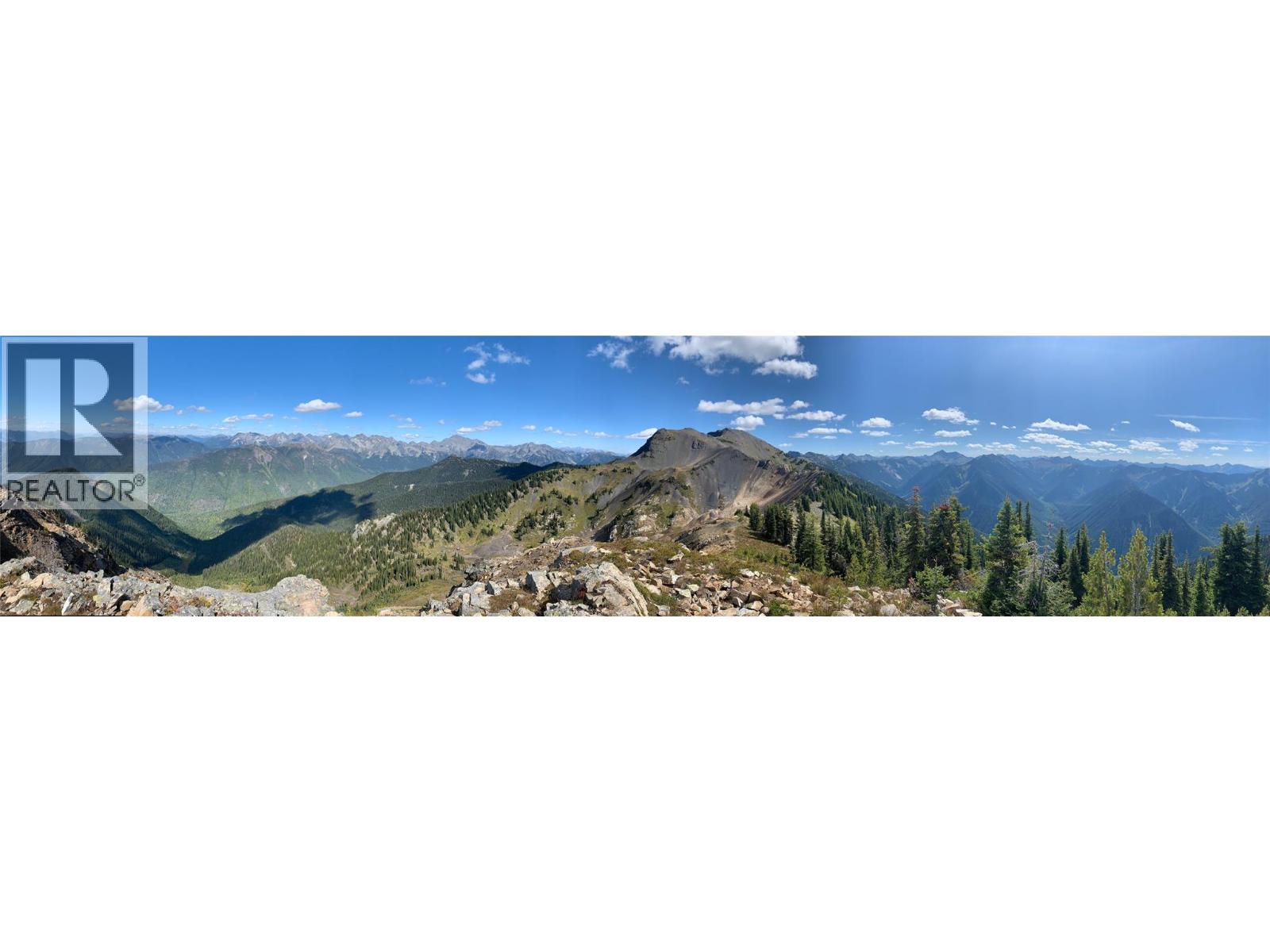 593, 594, 595, 1848, 1850 Mt. Payne Fsr, Sandon, British Columbia  V0V 0V0 - Photo 16 - 10401996