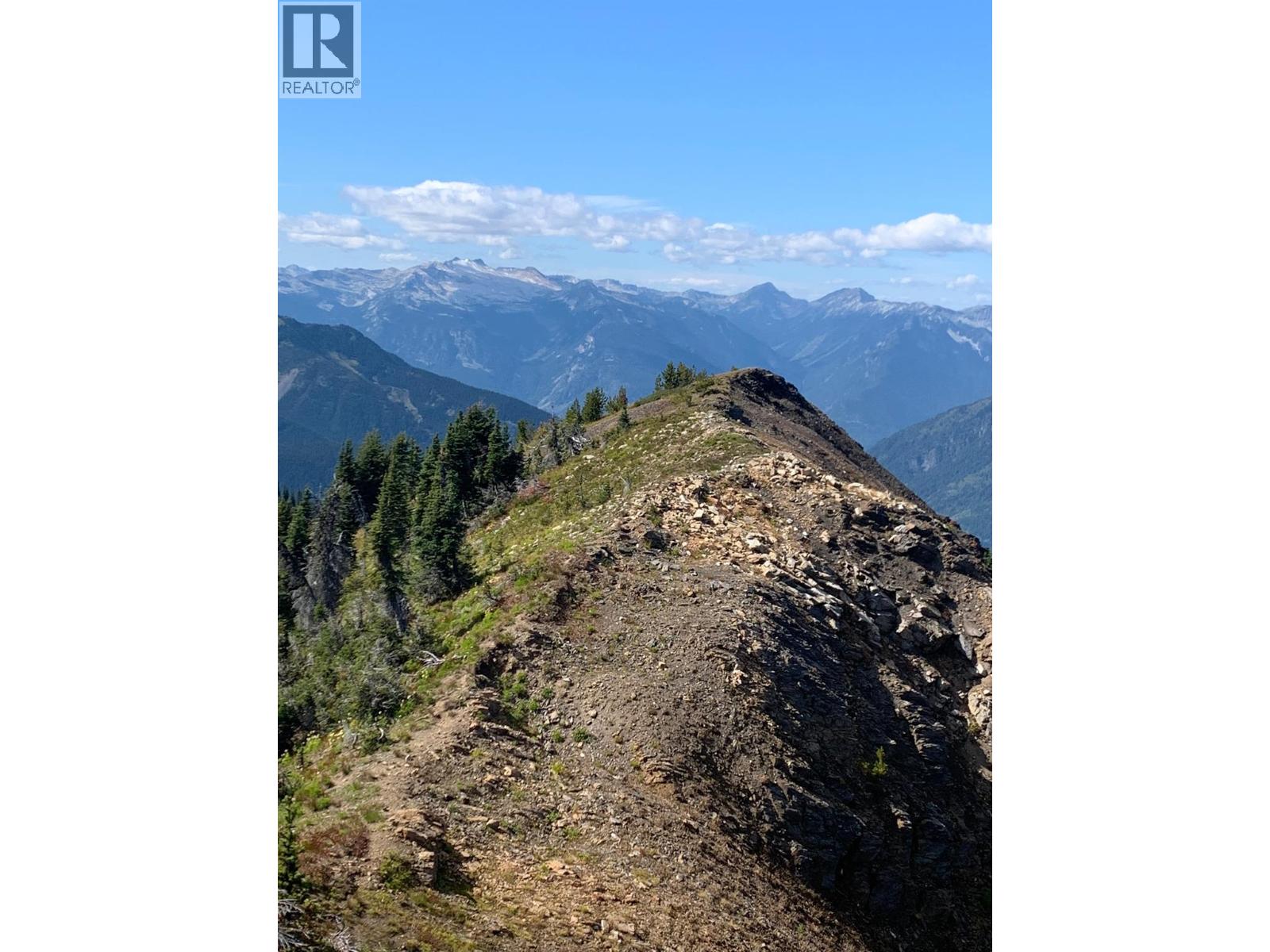 593, 594, 595, 1848, 1850 Mt. Payne Fsr, Sandon, British Columbia  V0V 0V0 - Photo 3 - 10401996