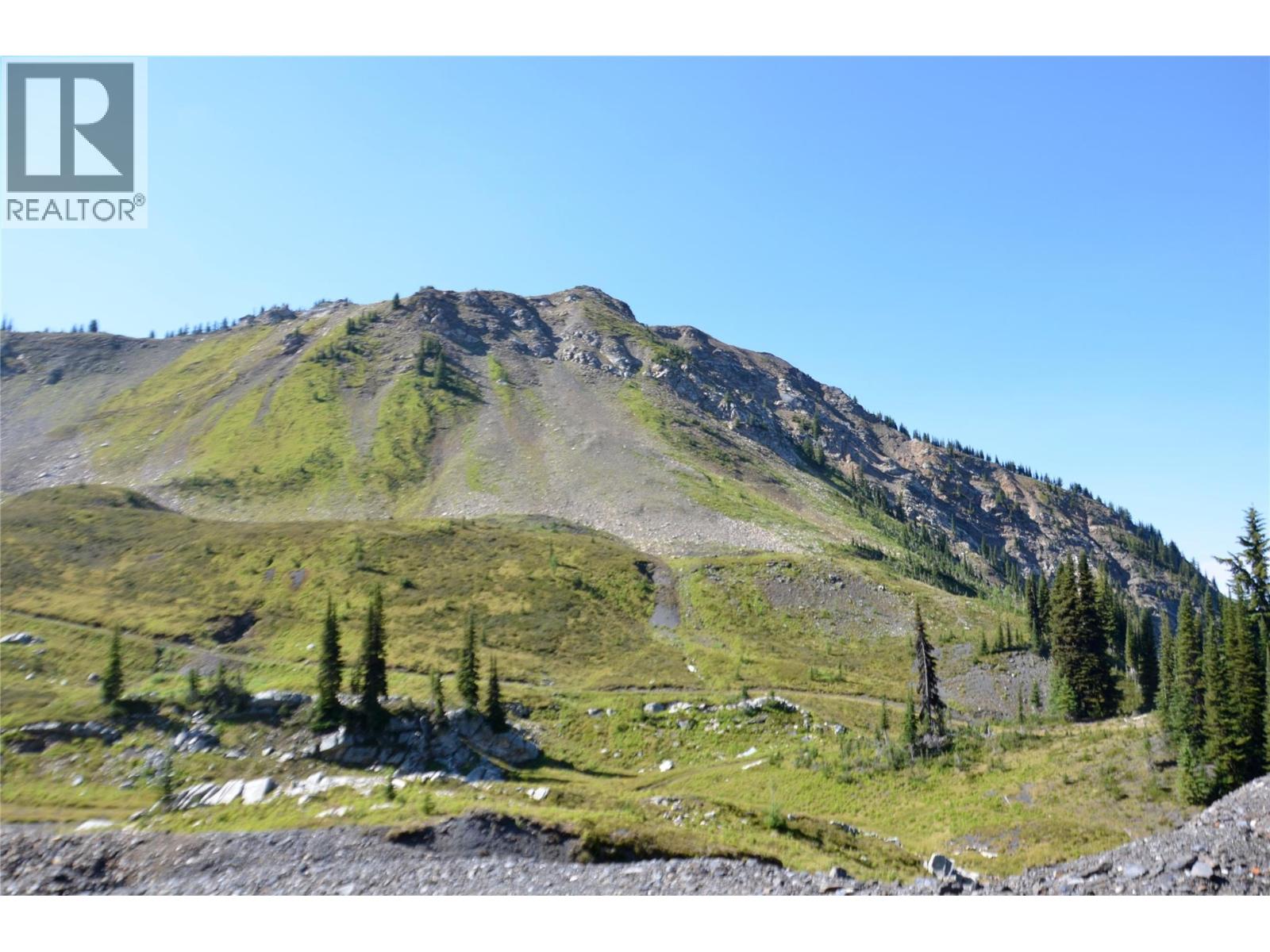 593, 594, 595, 1848, 1850 Mt. Payne Fsr, Sandon, British Columbia  V0V 0V0 - Photo 4 - 10401996