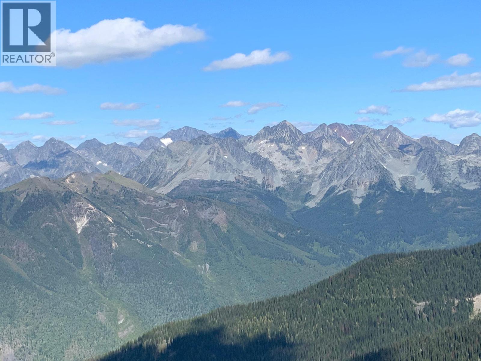 593, 594, 595, 1848, 1850 Mt. Payne Fsr, Sandon, British Columbia  V0V 0V0 - Photo 5 - 10401996