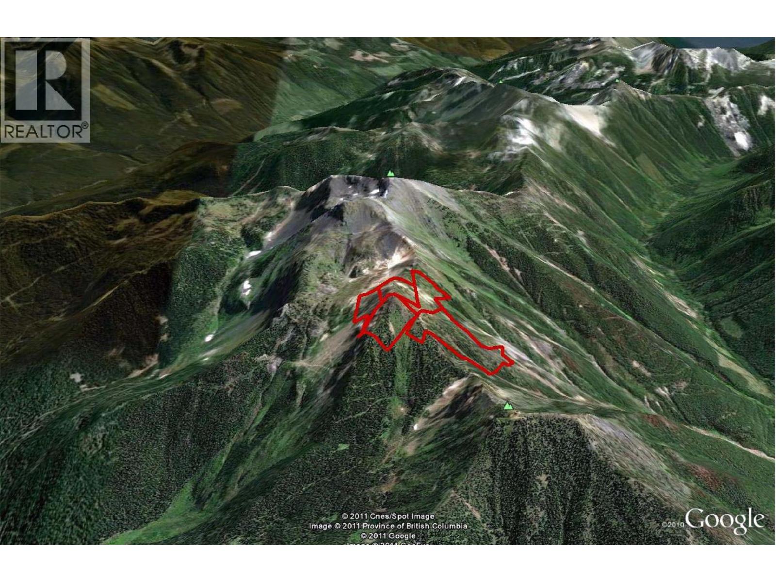 593, 594, 595, 1848, 1850 Mt. Payne Fsr, Sandon, British Columbia  V0V 0V0 - Photo 9 - 10401996