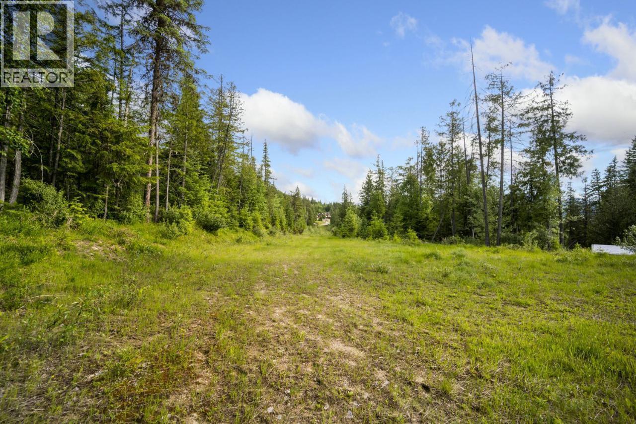 Lot 48 Crawford Creek Road, Crawford Bay, British Columbia  V0B 1E0 - Photo 4 - 10402482