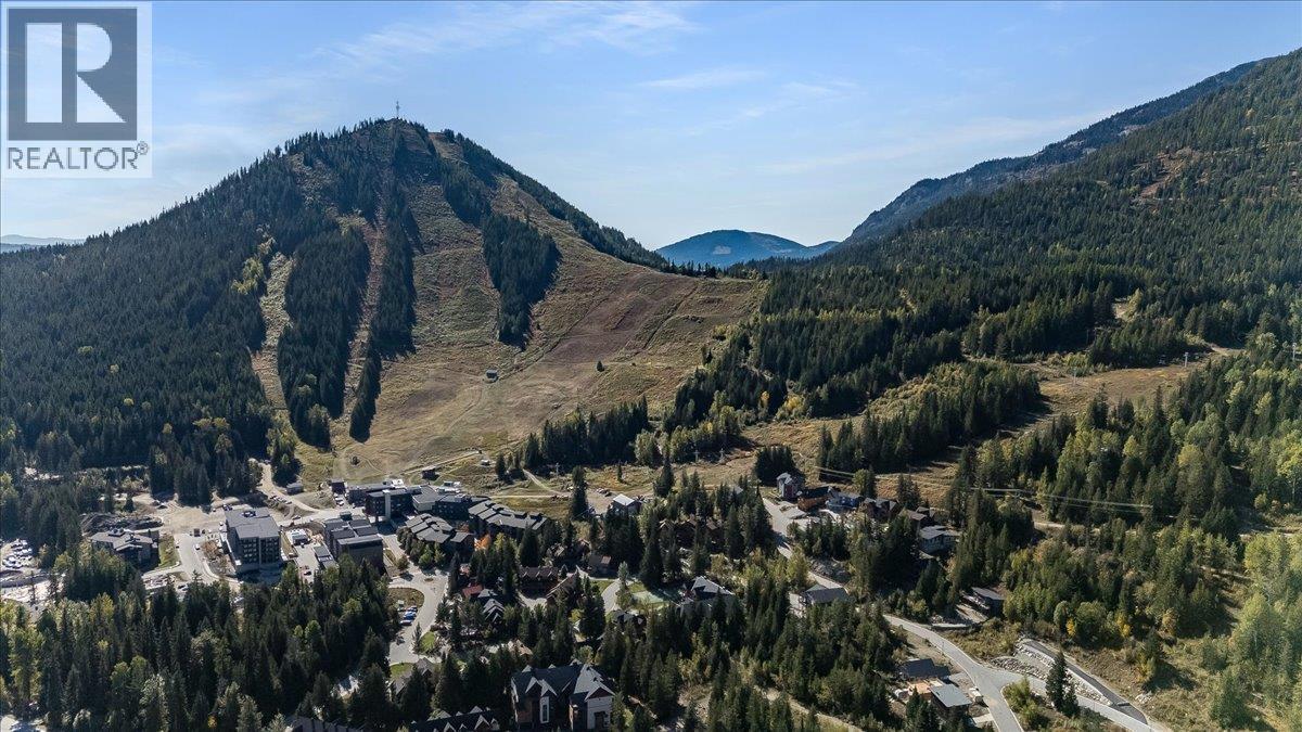 1008 Olaus Way Unit# 2, Rossland, British Columbia  V0G 1Y0 - Photo 27 - 10402138