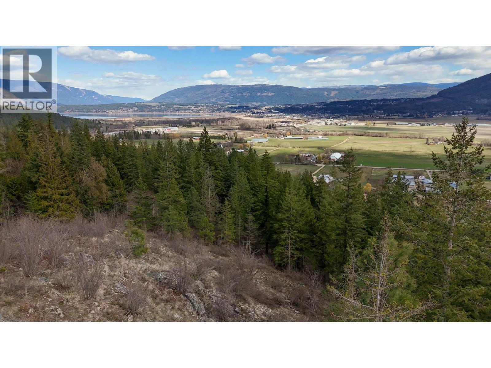 1600 60 Street Sw, Salmon Arm, British Columbia  V1E 3B3 - Photo 13 - 10402588
