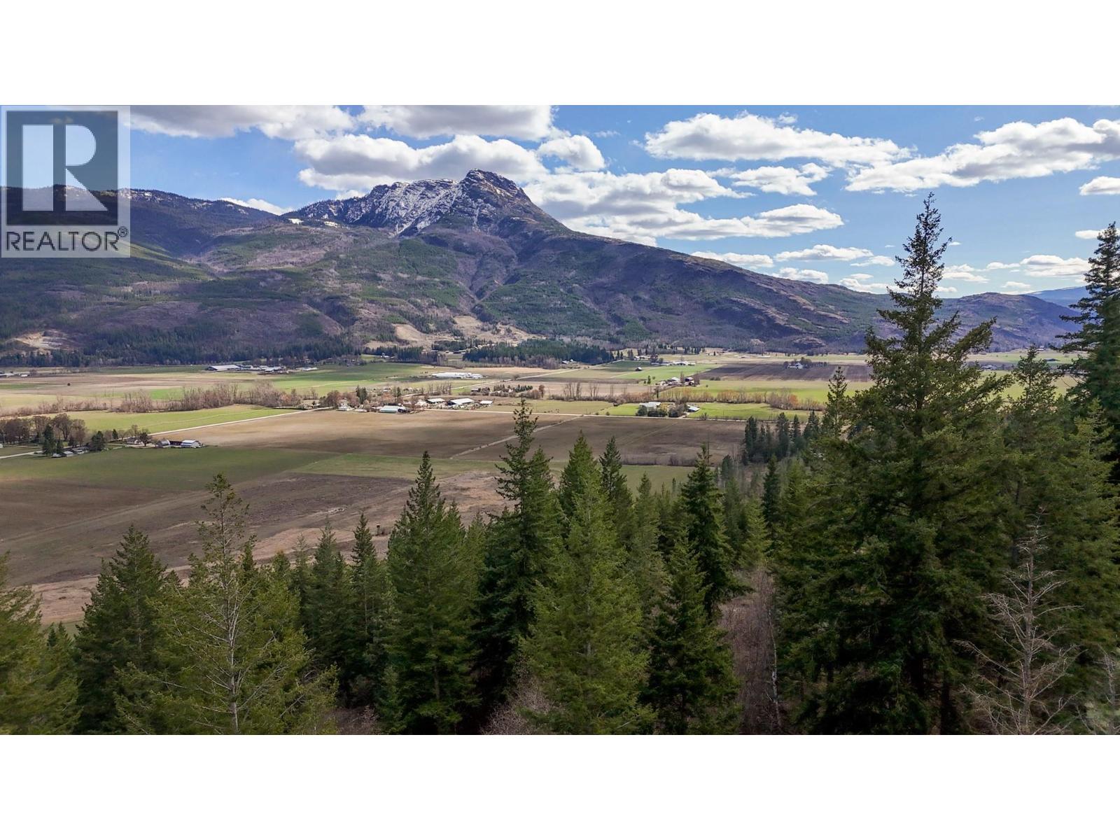 1600 60 Street Sw, Salmon Arm, British Columbia  V1E 3B3 - Photo 4 - 10402588