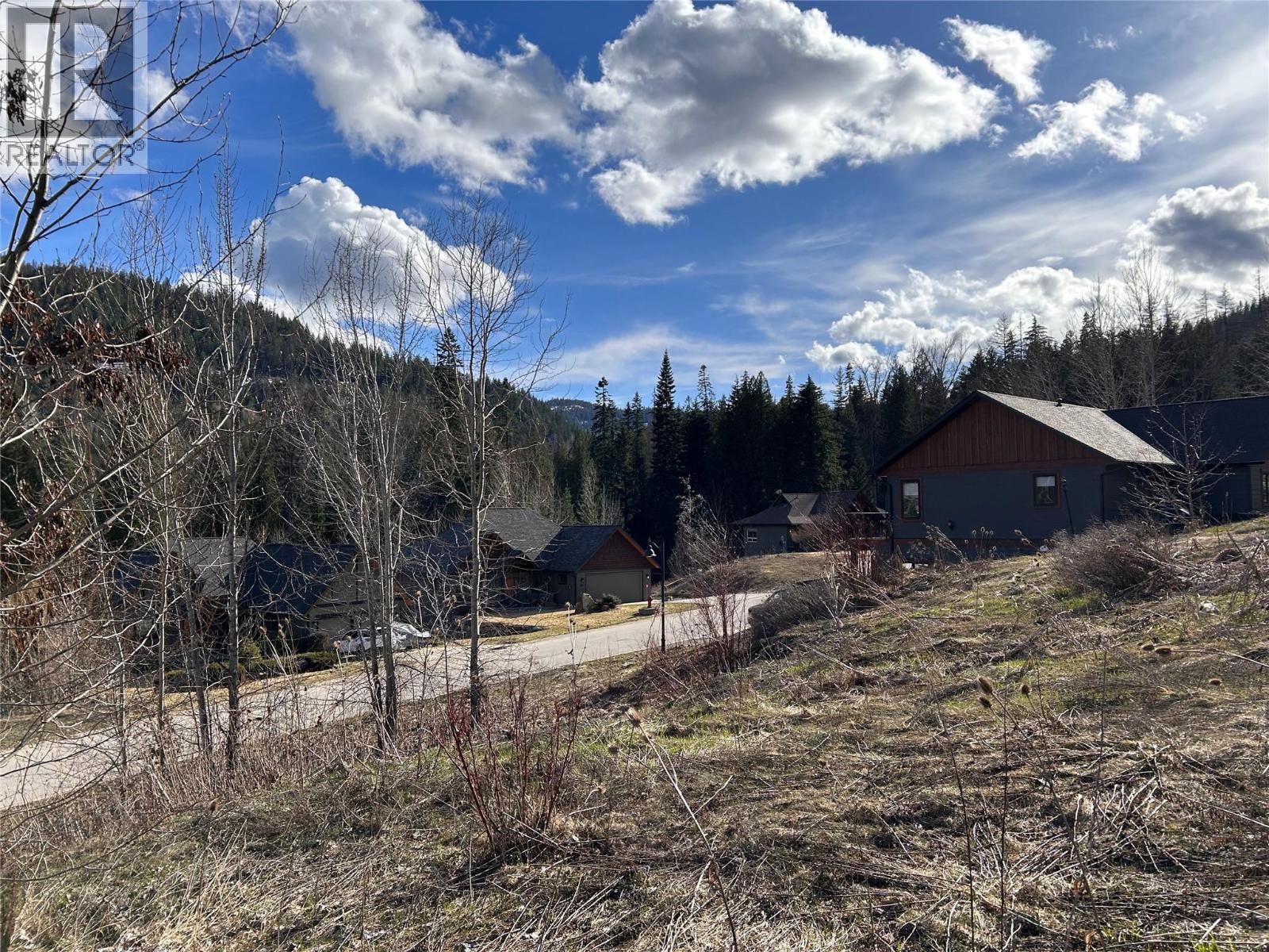 806 White Tail Drive, Rossland, British Columbia  V0G 1Y0 - Photo 9 - 10402487