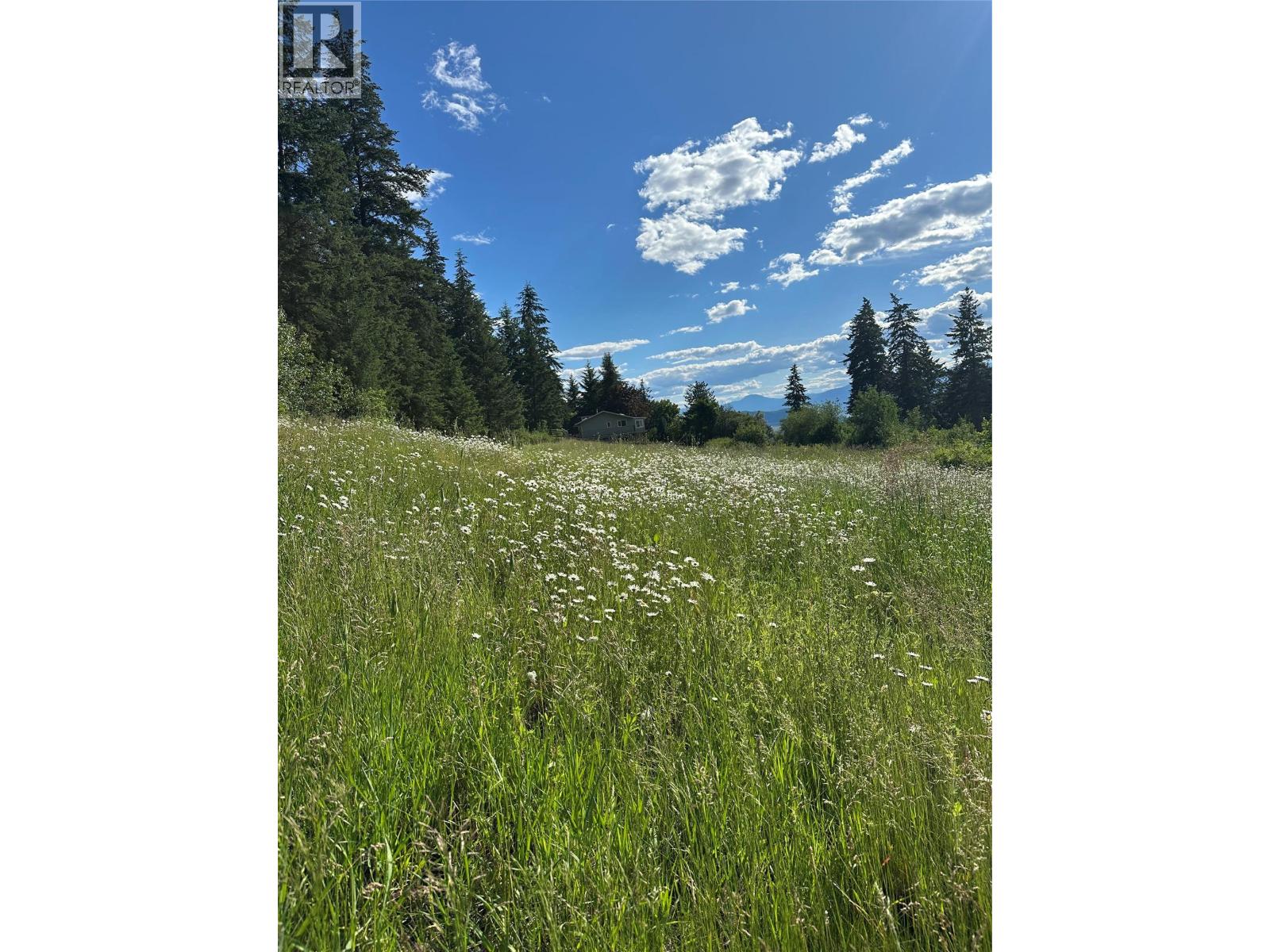 5221/5241 Hartnell Road, Vernon, British Columbia  V1B 3J4 - Photo 95 - 10402628