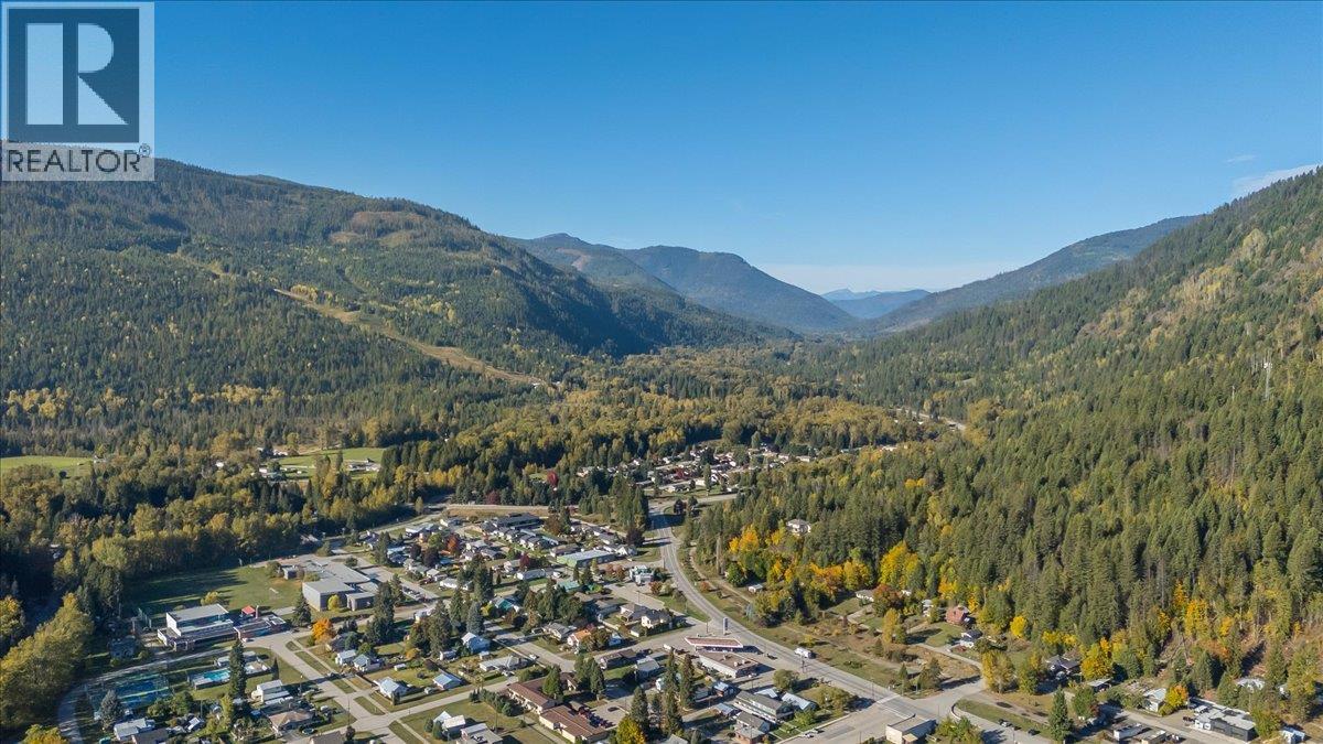 514 Davies Avenue, Salmo, British Columbia  V0G 1Z0 - Photo 36 - 10402583