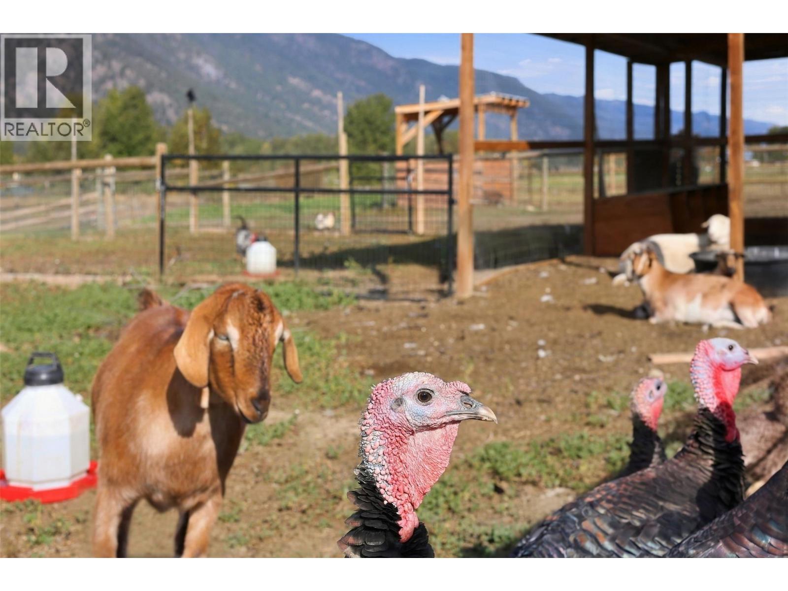 165 Hoovers Ferry Road, Kamloops, British Columbia  V0E 1Z2 - Photo 68 - 10402654