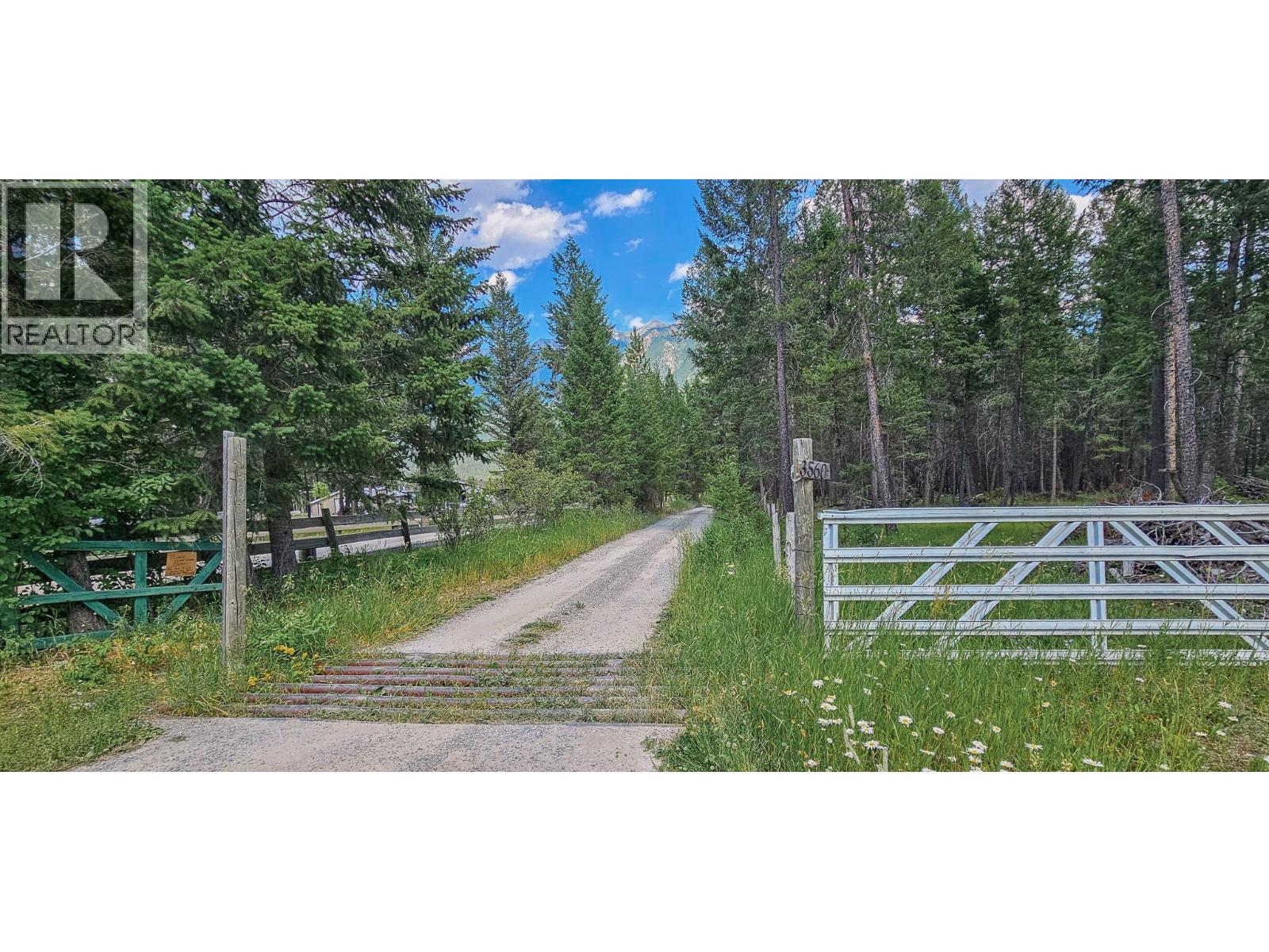 3560 Island Pond Road, Skookumchuck, British Columbia  V0B 2E0 - Photo 71 - 10402688