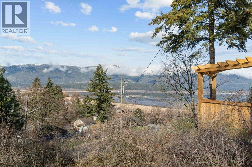 1321 10th Avenue, Salmon Arm, British Columbia  V1E 2V6 - Photo 58 - 10402802