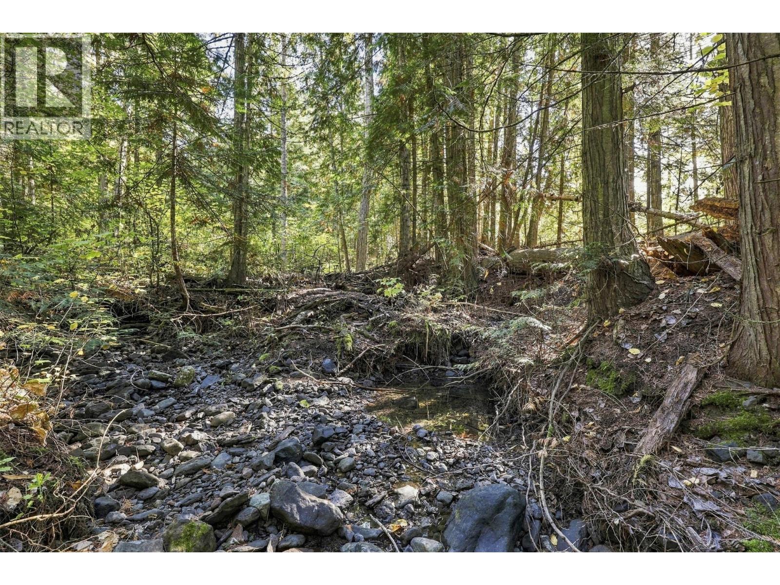 8488 Black Mountain Road, Chase, British Columbia  V0E 1M0 - Photo 13 - 10402899