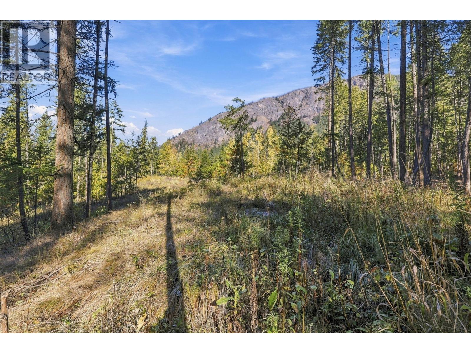 8488 Black Mountain Road, Chase, British Columbia  V0E 1M0 - Photo 15 - 10402899