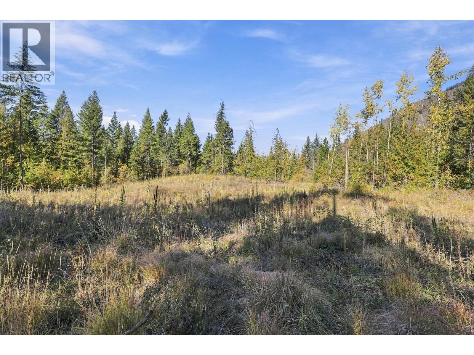 8488 Black Mountain Road, Chase, British Columbia  V0E 1M0 - Photo 8 - 10402899