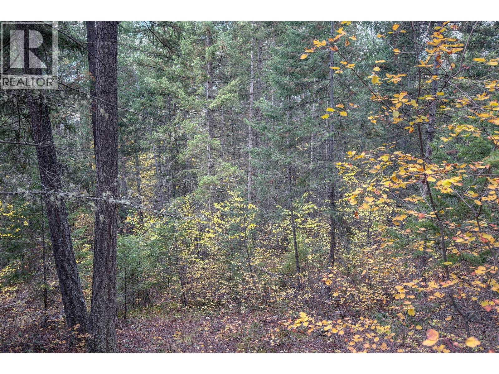 1260 Whitetail Drive, Golden, British Columbia  V0A 1H7 - Photo 11 - 10402883