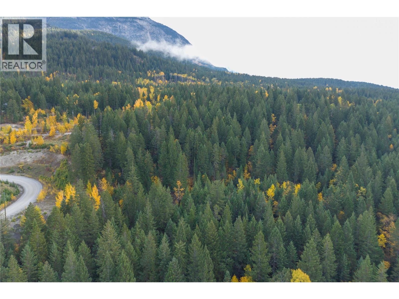 1260 Whitetail Drive, Golden, British Columbia  V0A 1H7 - Photo 13 - 10402883