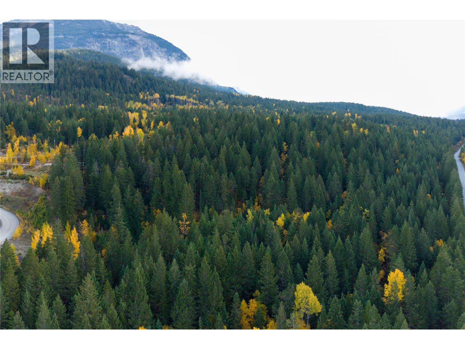 1260 Whitetail Drive, Golden, British Columbia  V0A 1H7 - Photo 15 - 10402883