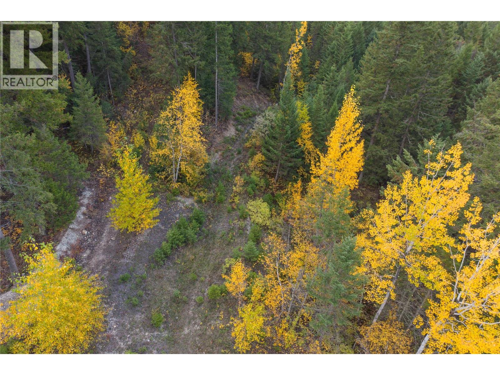 1260 Whitetail Drive, Golden, British Columbia  V0A 1H7 - Photo 5 - 10402883