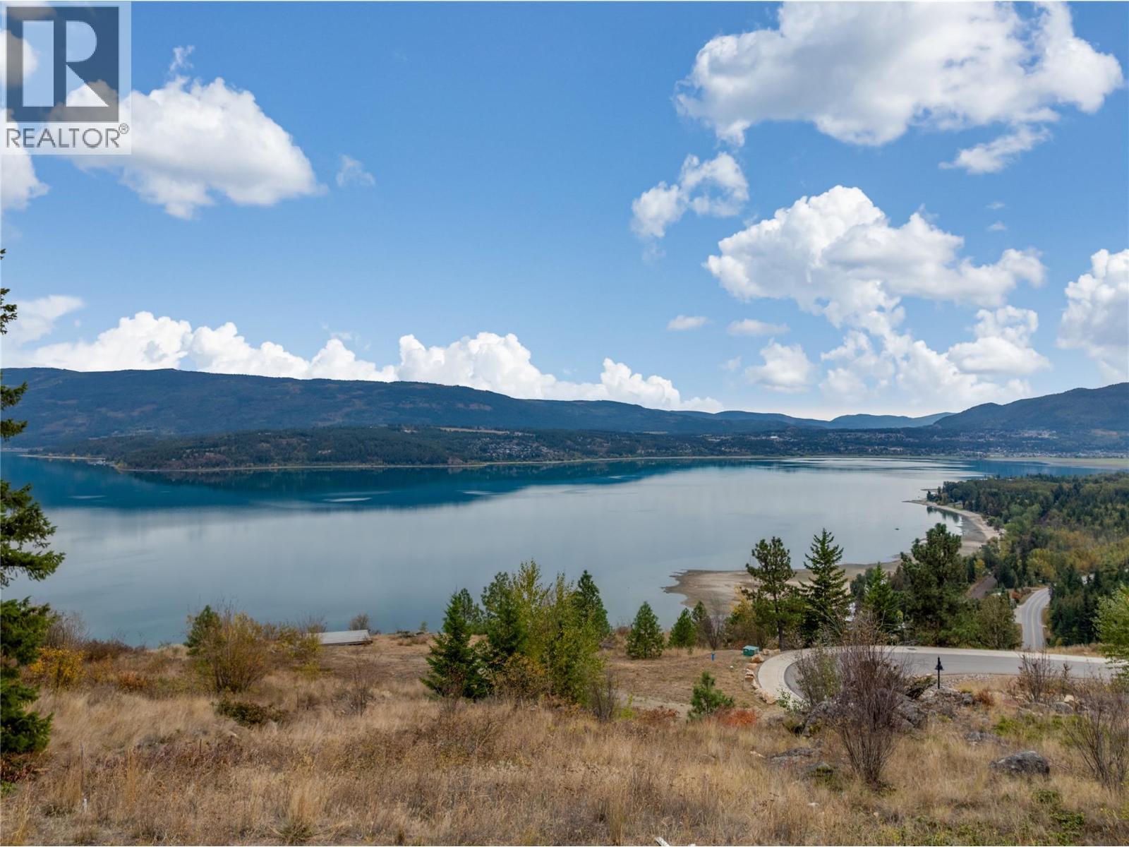 Sl5 Kault Hill Road, Tappen, British Columbia  V0E 2N2 - Photo 2 - 10401562