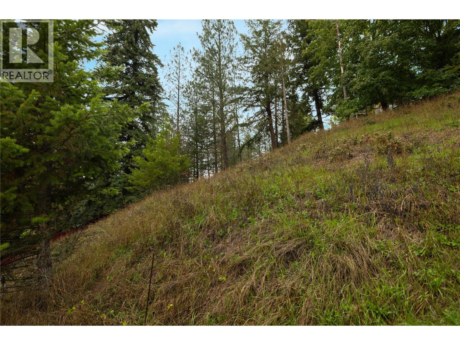 3945 Highland Park Crescent, Armstrong, British Columbia  V0E 1B4 - Photo 8 - 10402965