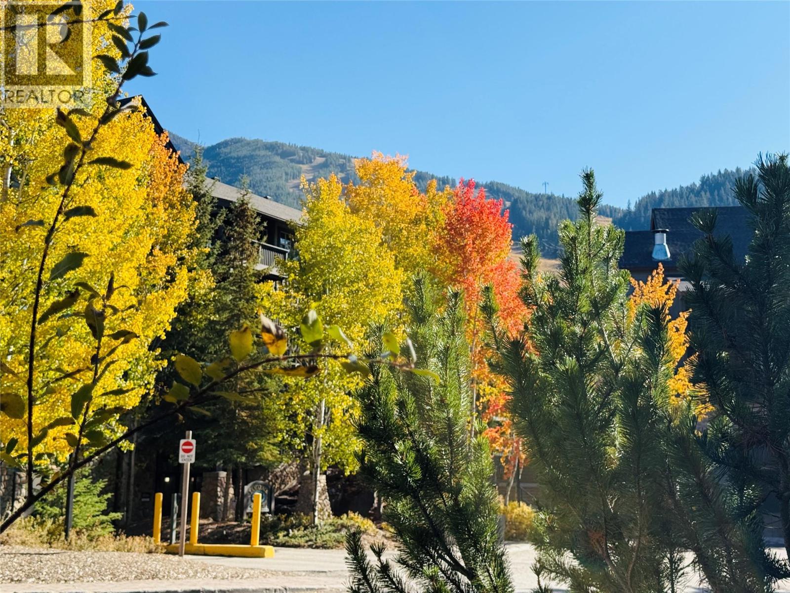 2049 Summit Drive Unit# 215 D, Panorama, British Columbia  V0A 1T0 - Photo 18 - 10402966
