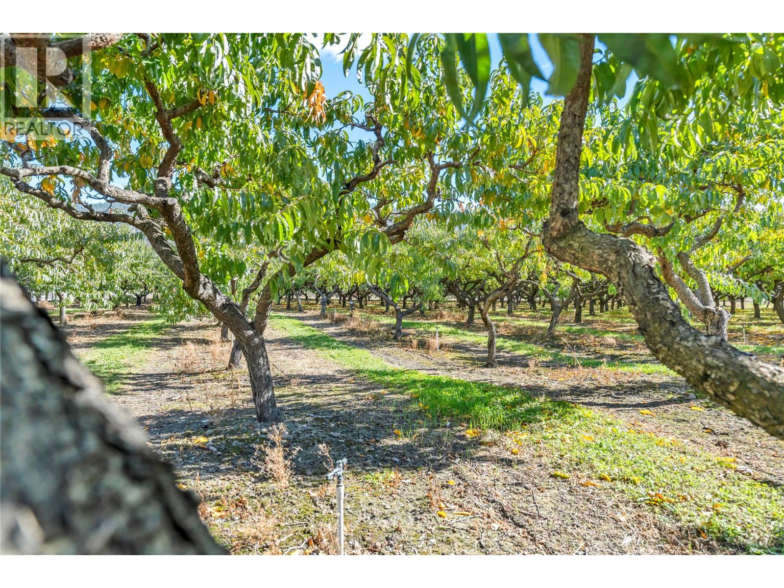 235 Middle Bench Road N, Penticton, British Columbia  V2A 8S5 - Photo 38 - 10402912