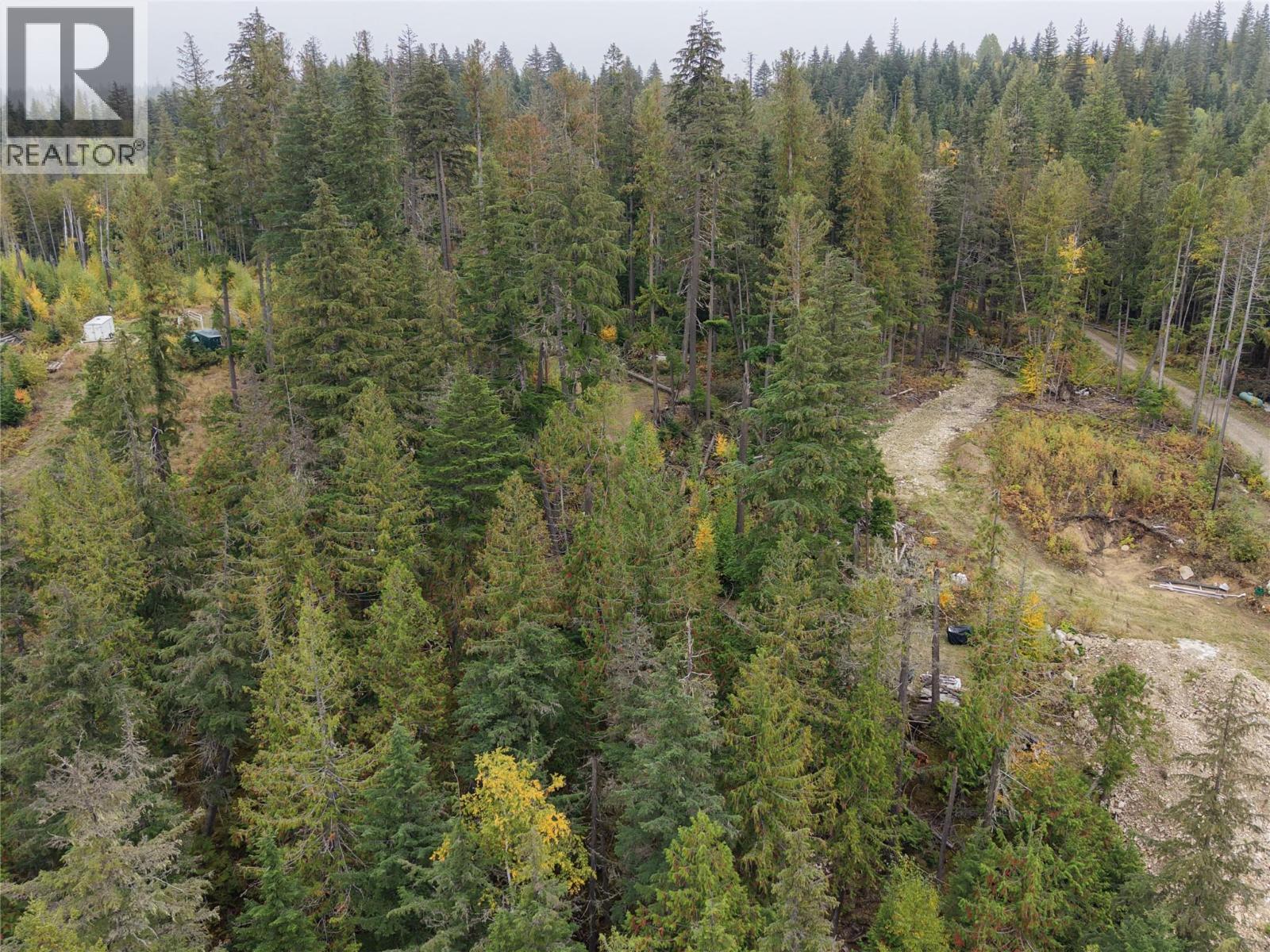 912 Bradley Road, Seymour Arm, British Columbia  V0E 2V2 - Photo 10 - 10402811