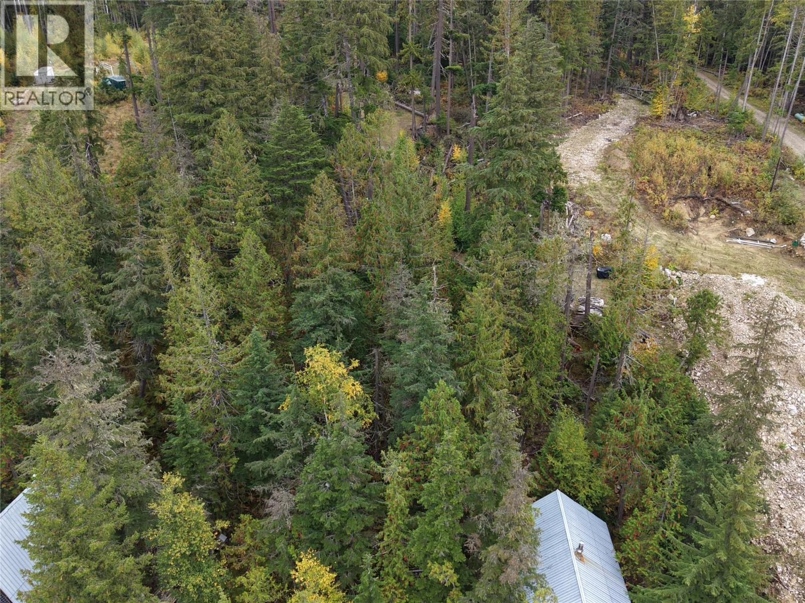 912 Bradley Road, Seymour Arm, British Columbia  V0E 2V2 - Photo 11 - 10402811