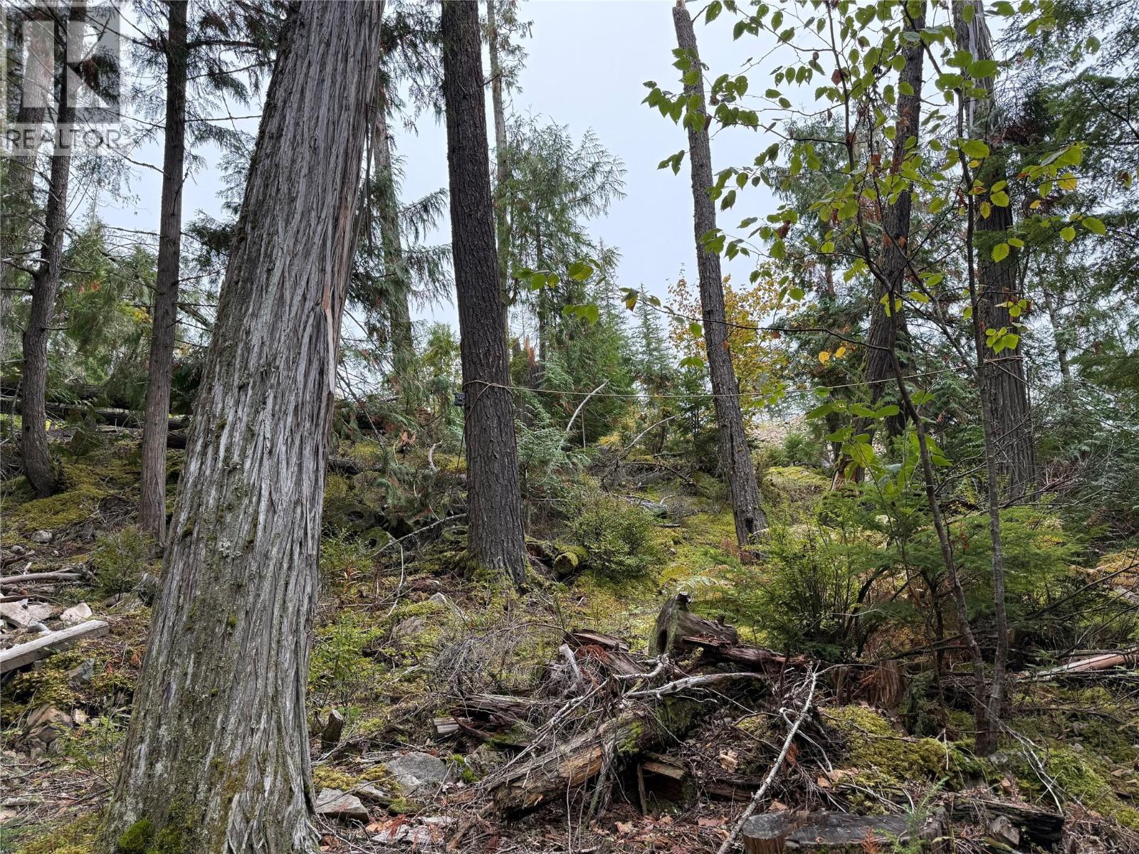 912 Bradley Road, Seymour Arm, British Columbia  V0E 2V2 - Photo 18 - 10402811