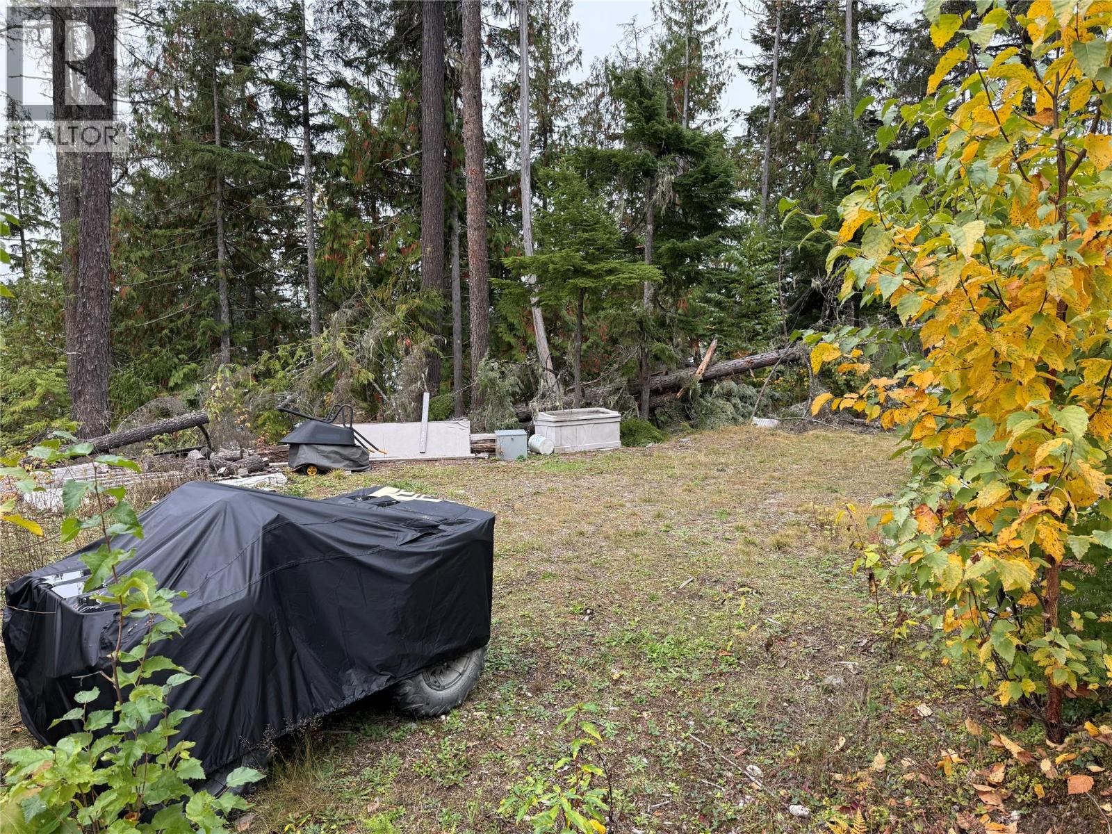912 Bradley Road, Seymour Arm, British Columbia  V0E 2V2 - Photo 39 - 10402811