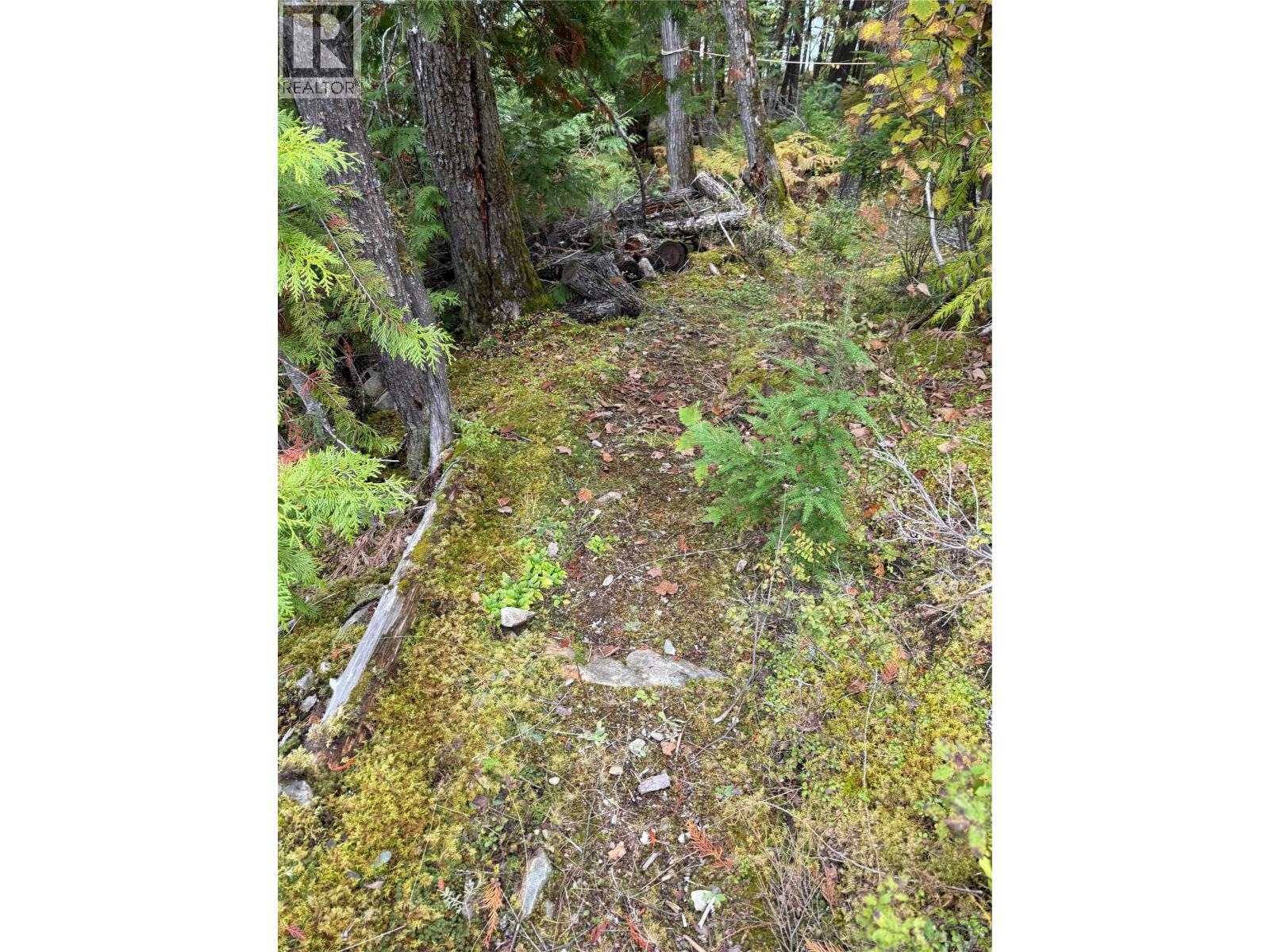 912 Bradley Road, Seymour Arm, British Columbia  V0E 2V2 - Photo 41 - 10402811