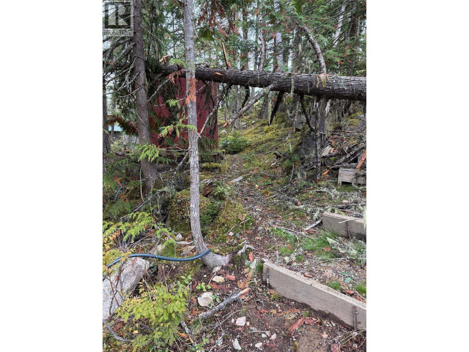 912 Bradley Road, Seymour Arm, British Columbia  V0E 2V2 - Photo 42 - 10402811