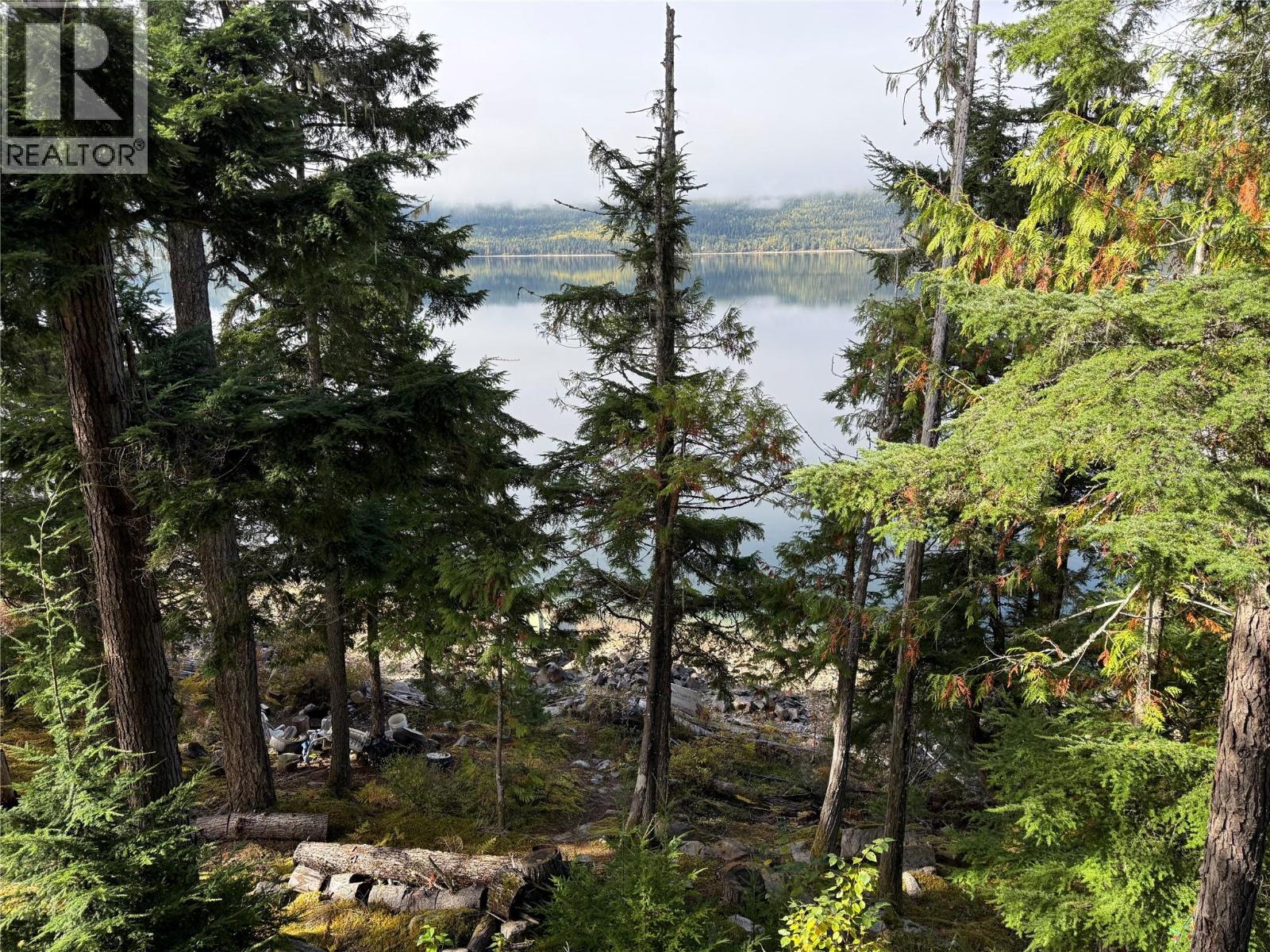 912 Bradley Road, Seymour Arm, British Columbia  V0E 2V2 - Photo 47 - 10402811