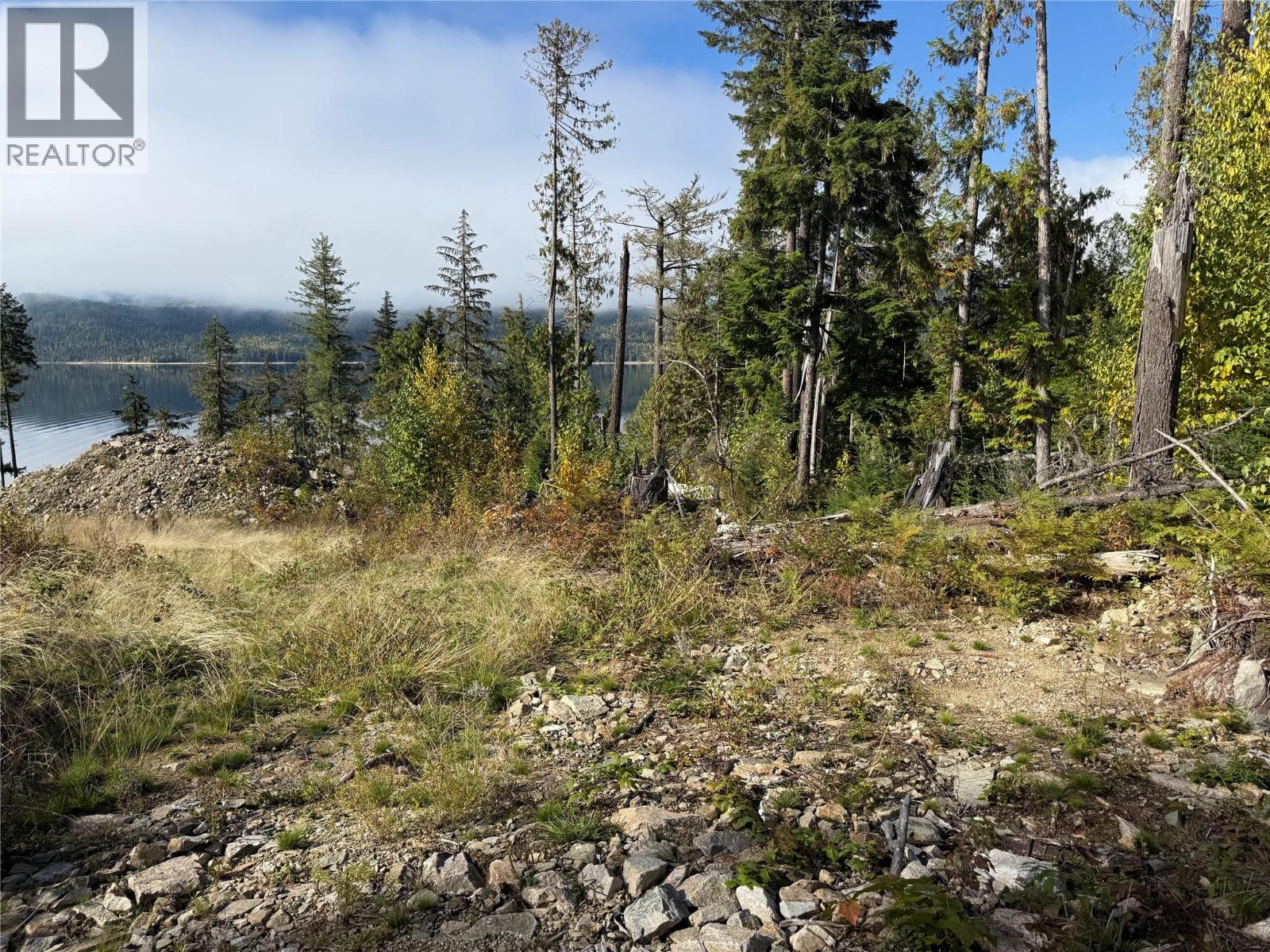 912 Bradley Road, Seymour Arm, British Columbia  V0E 2V2 - Photo 48 - 10402811