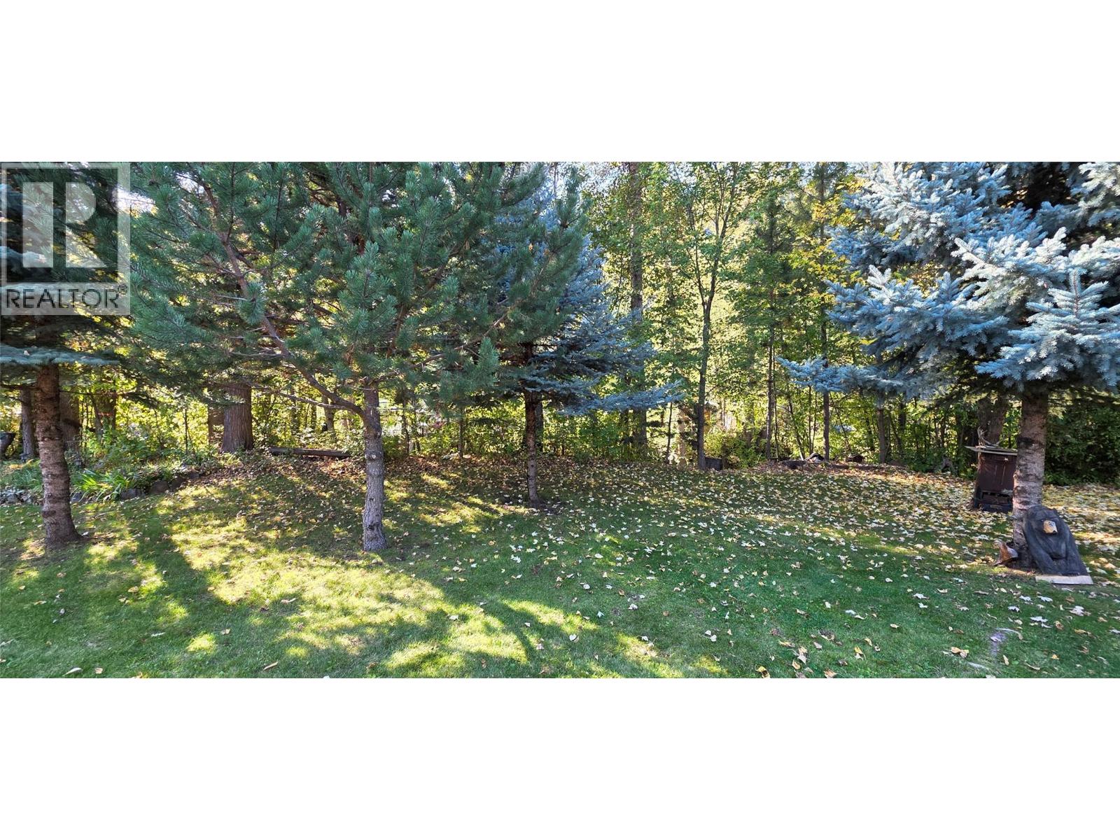 321 Copper Avenue N Unit# 29, Greenwood, British Columbia  V0H 1J0 - Photo 3 - 10403013
