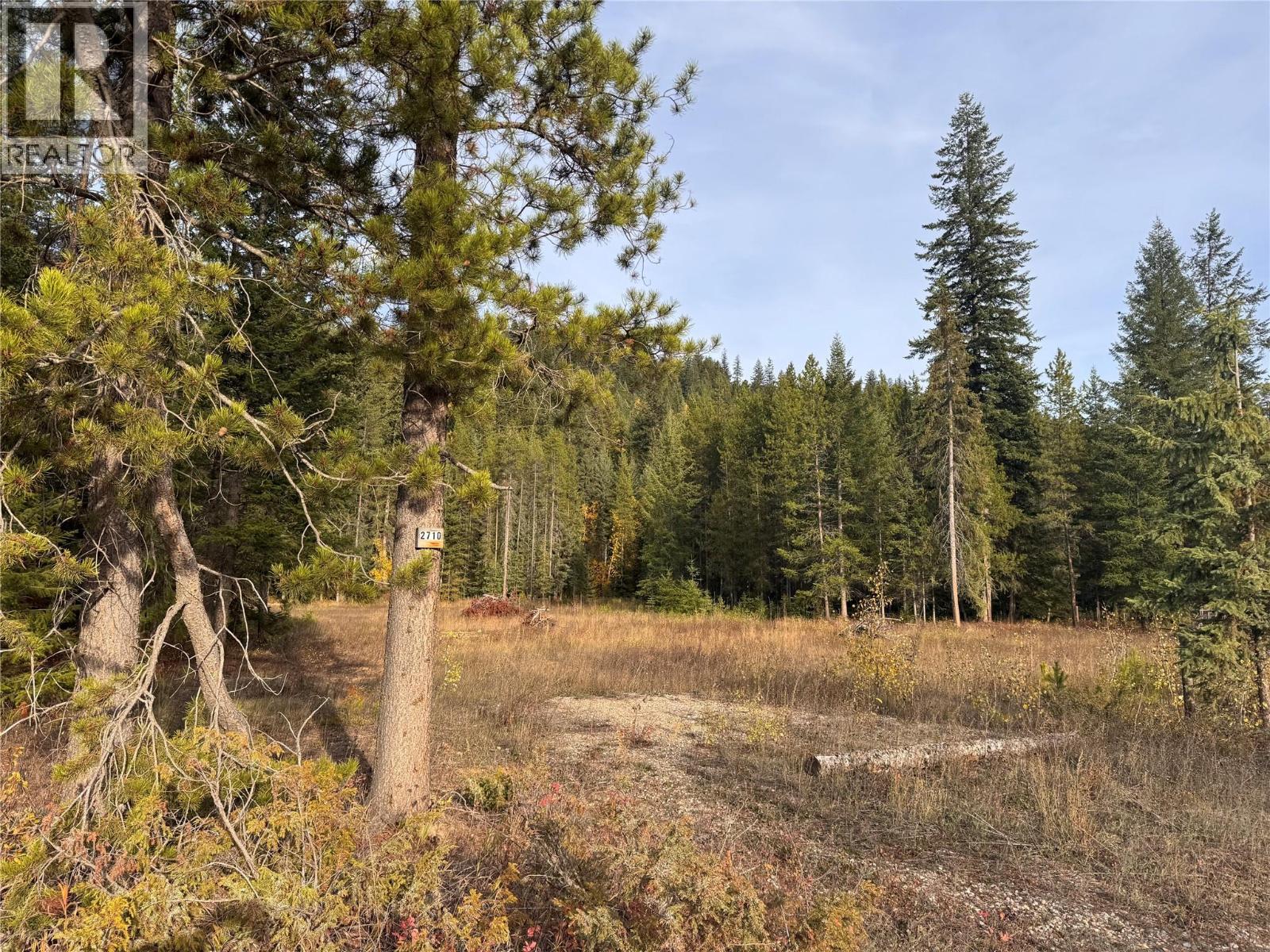 2710 Big Bend Highway, Golden, British Columbia  V0A 1H1 - Photo 1 - 10403074