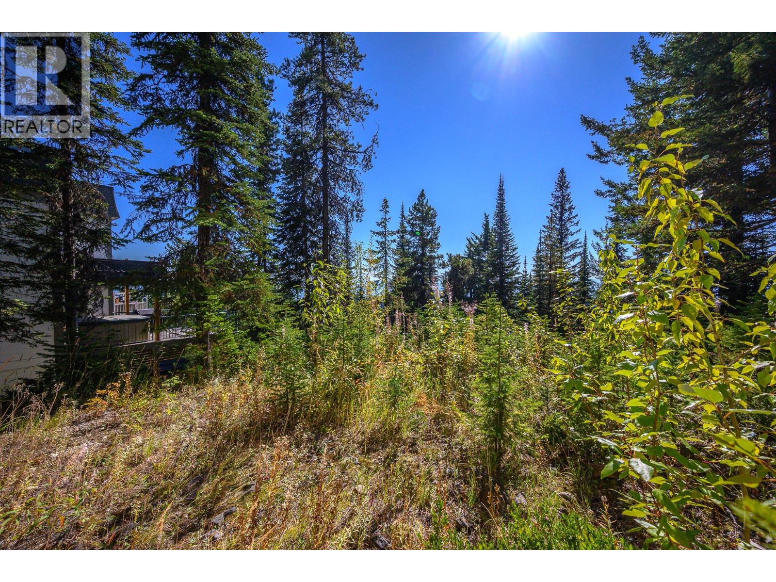 720 Monashee Court, Silver Star, British Columbia  V1B 0S5 - Photo 52 - 10401037