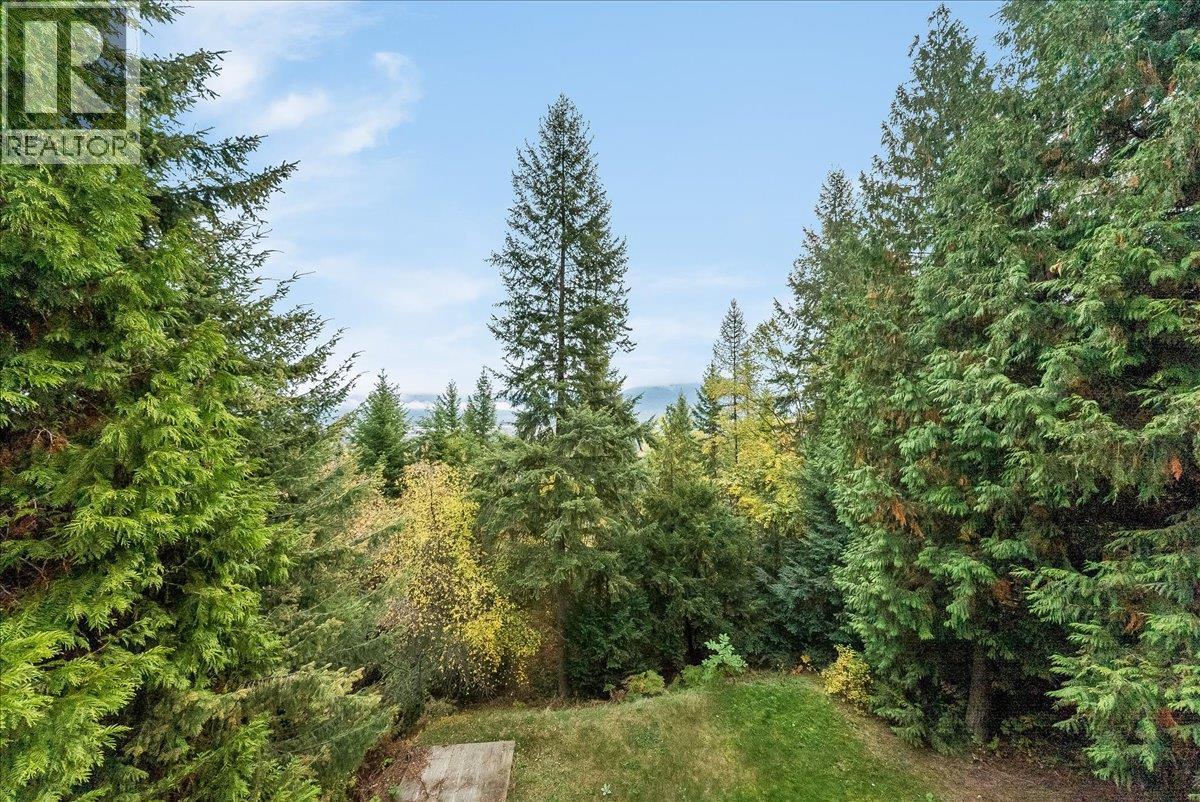 2421 12th Avenue, Castlegar, British Columbia  V1N 4A9 - Photo 38 - 10402949