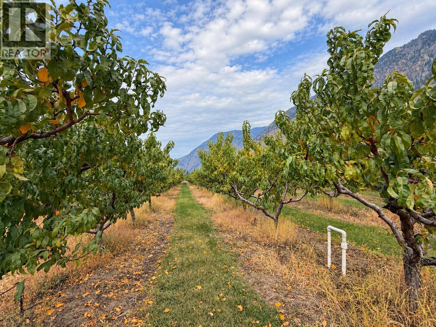 164 Ashnola Road, Keremeos, British Columbia  V0X 1N1 - Photo 1 - 10403123