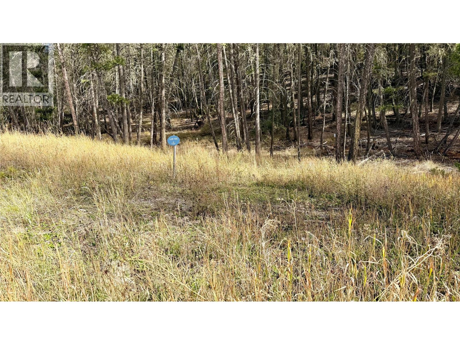 Lot 44 Mountain View Drive, Fairmont Hot Springs, British Columbia  V0B 1L1 - Photo 1 - 10403076