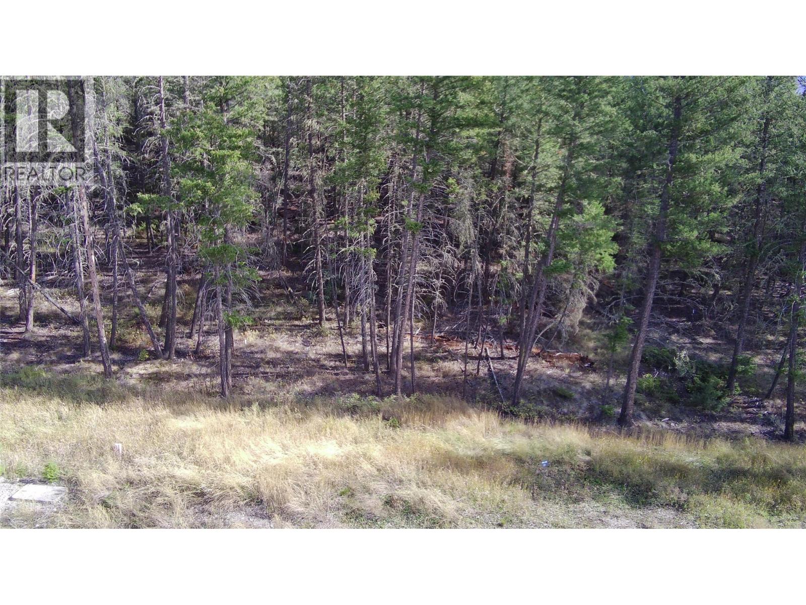 Lot 44 Mountain View Drive, Fairmont Hot Springs, British Columbia  V0B 1L1 - Photo 12 - 10403076