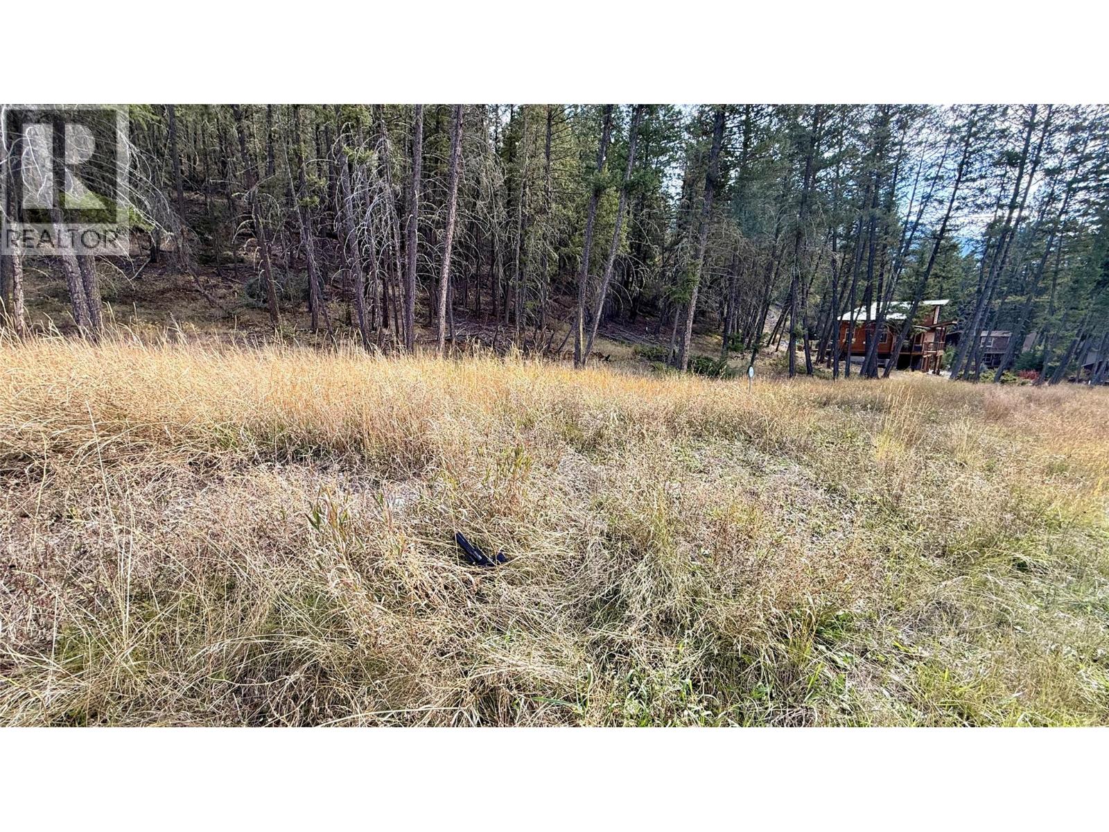 Lot 44 Mountain View Drive, Fairmont Hot Springs, British Columbia  V0B 1L1 - Photo 14 - 10403076