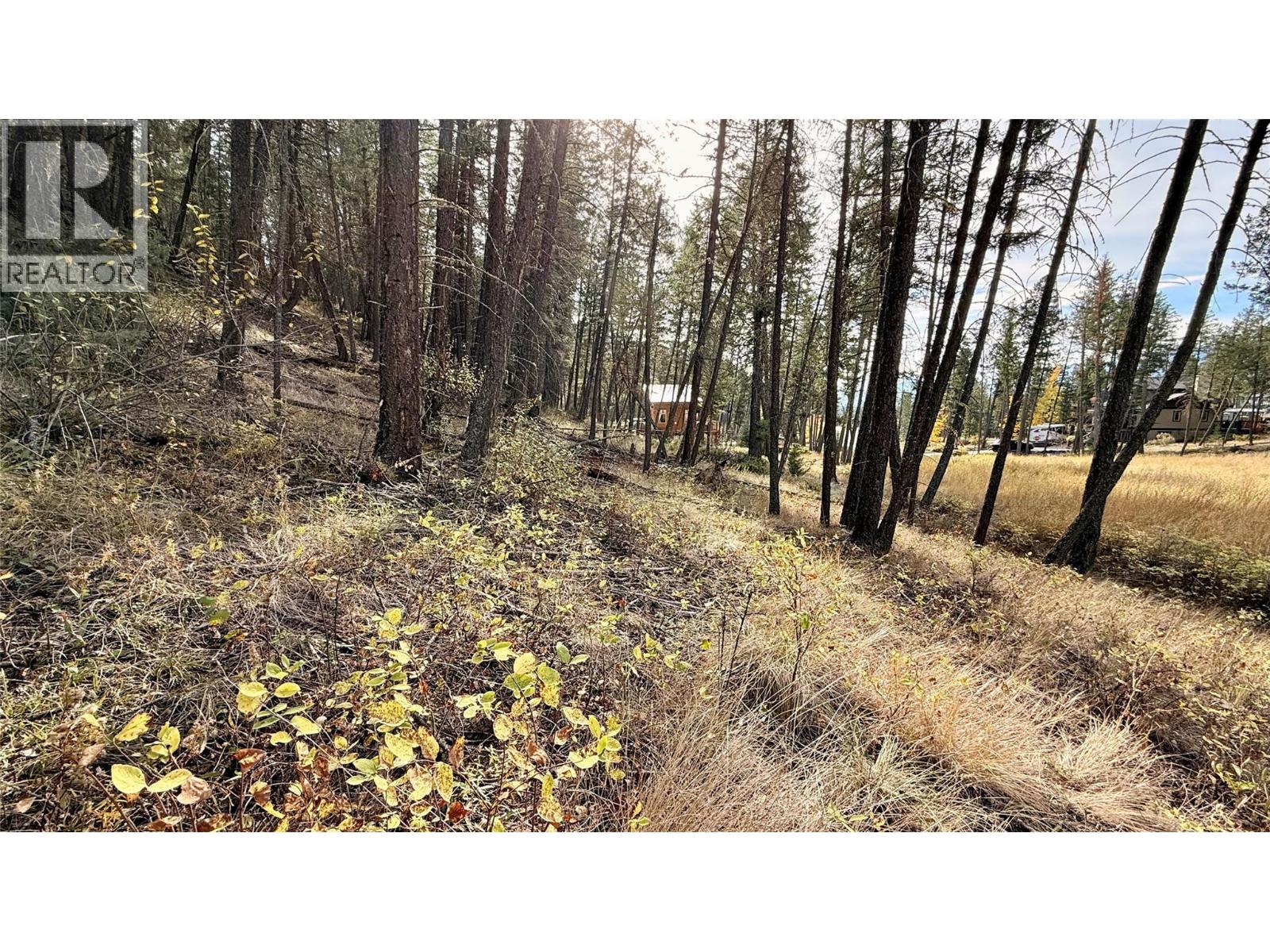 Lot 44 Mountain View Drive, Fairmont Hot Springs, British Columbia  V0B 1L1 - Photo 16 - 10403076